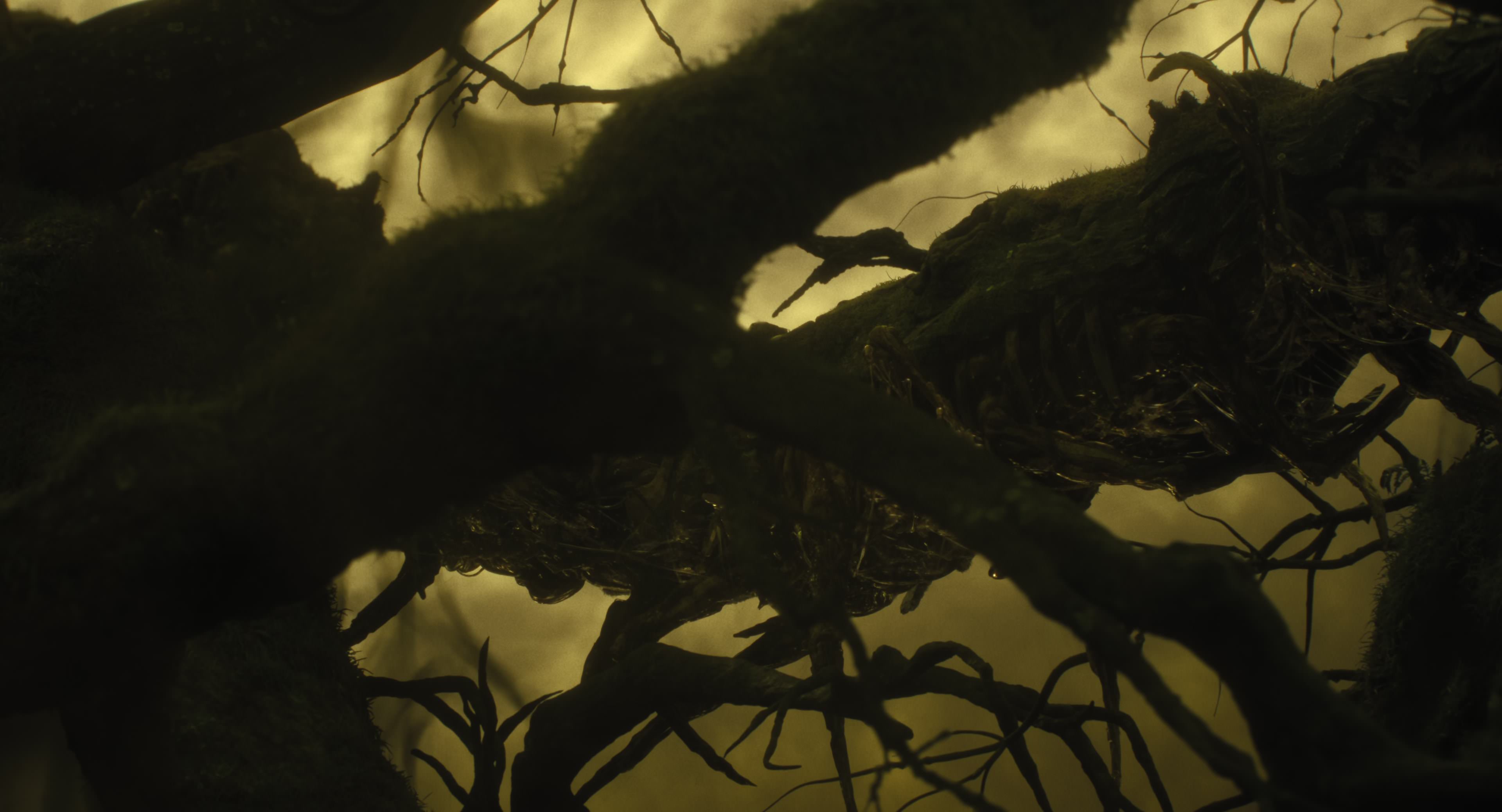 The Gorge (2025) [4K] movie still 8620
