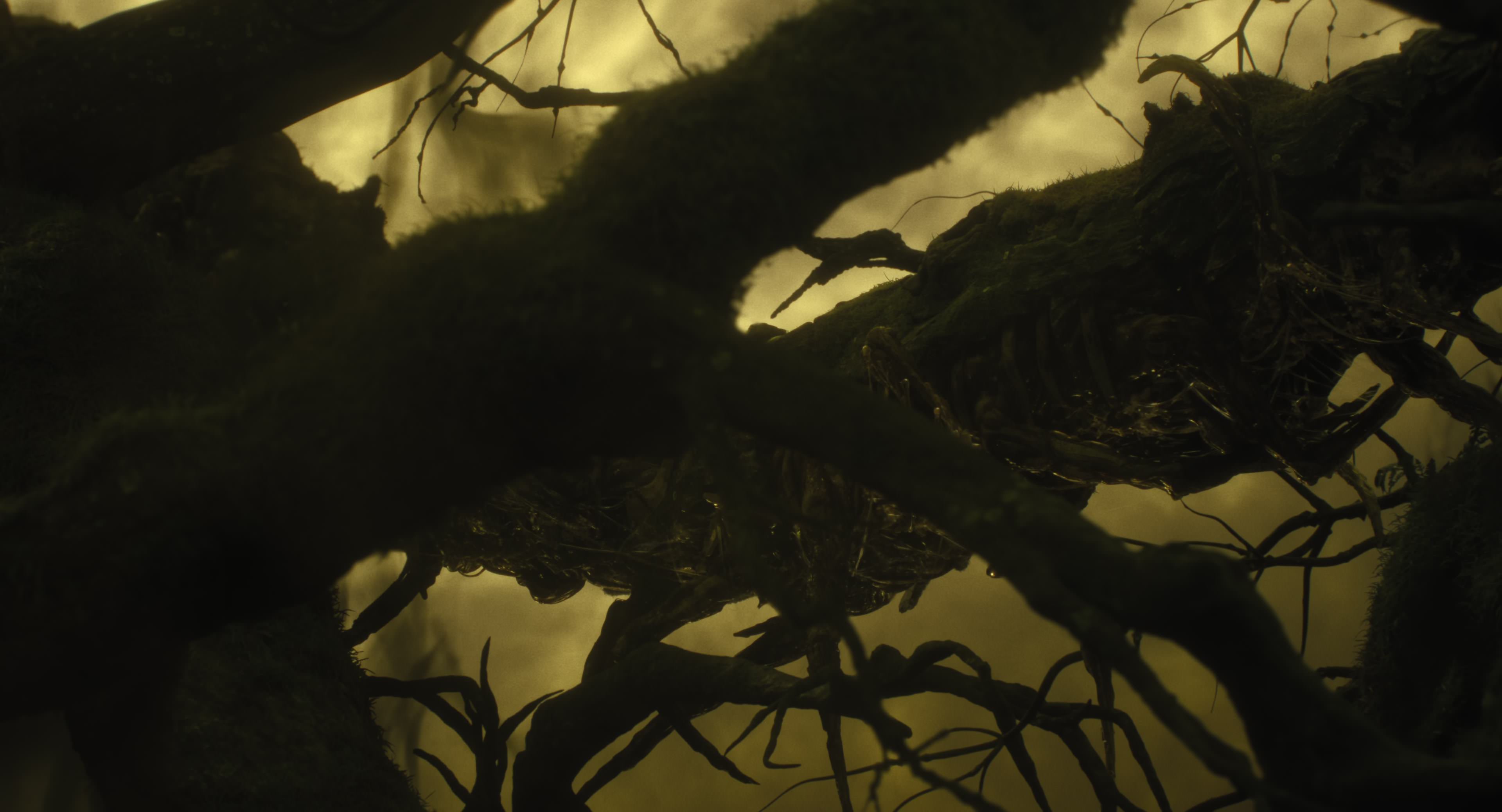 The Gorge (2025) [4K] HD screenshot 8621
