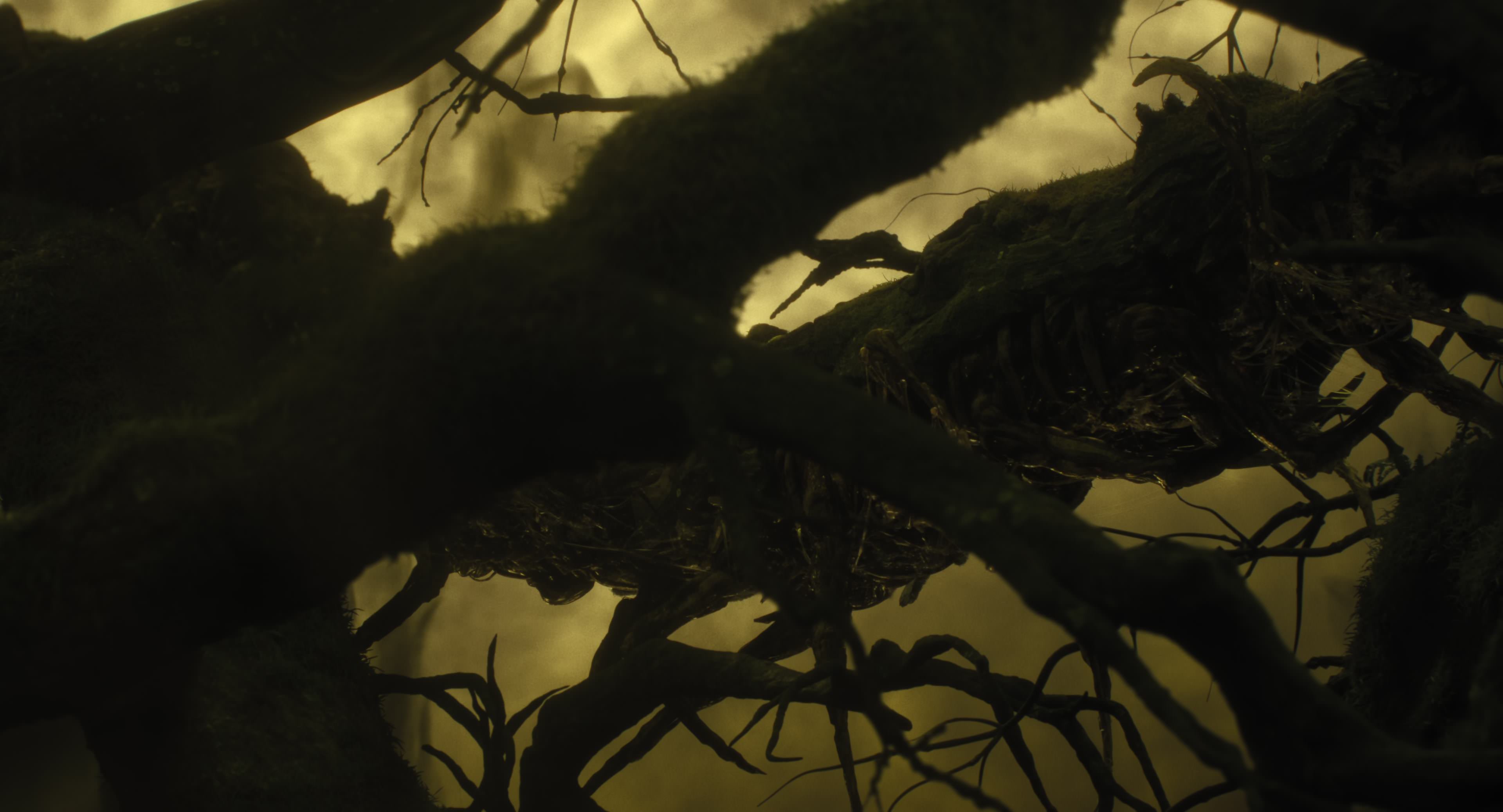 The Gorge (2025) [4K] HD screenshot 8624