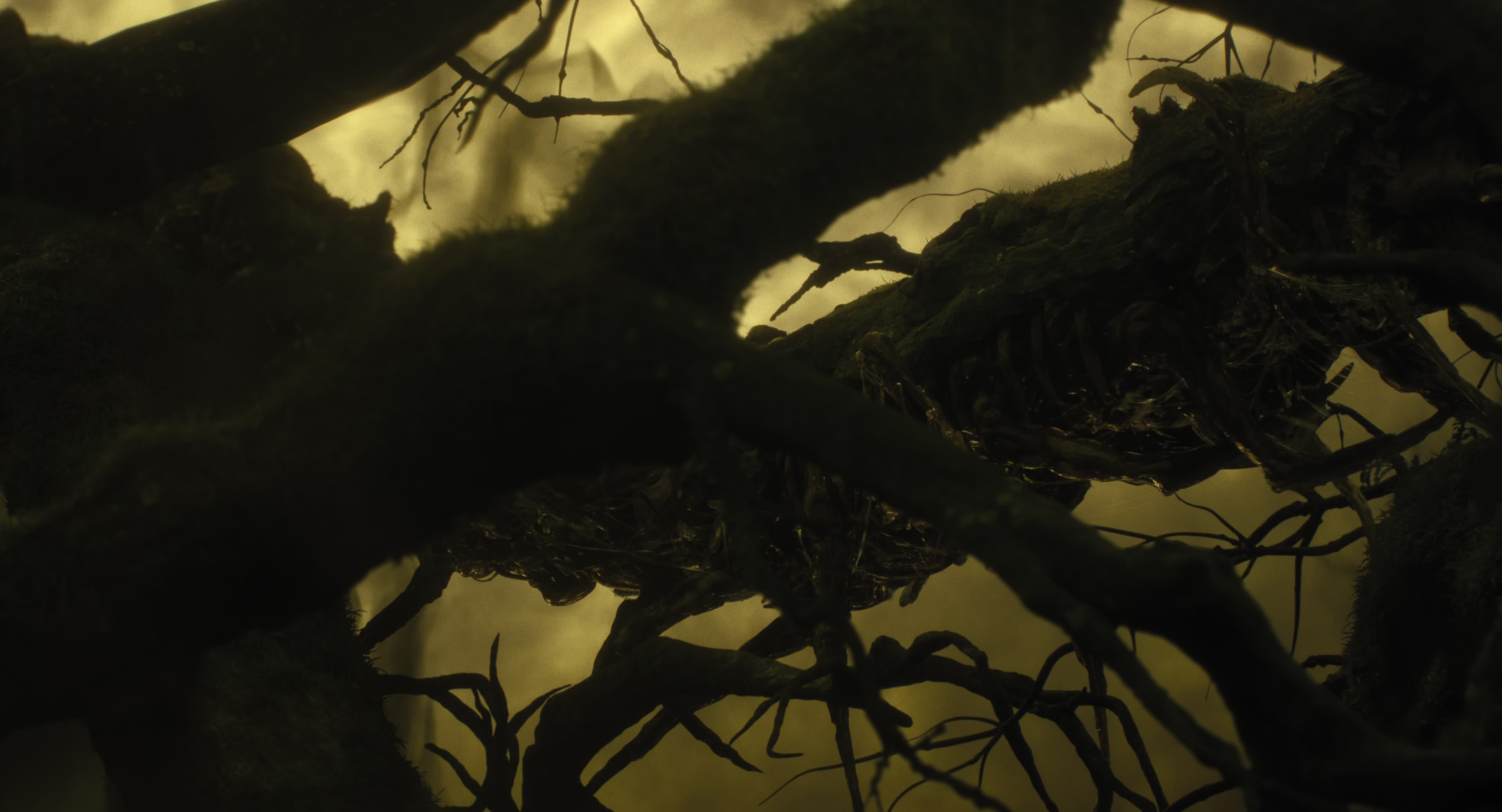 The Gorge (2025) [4K] screencap 8625