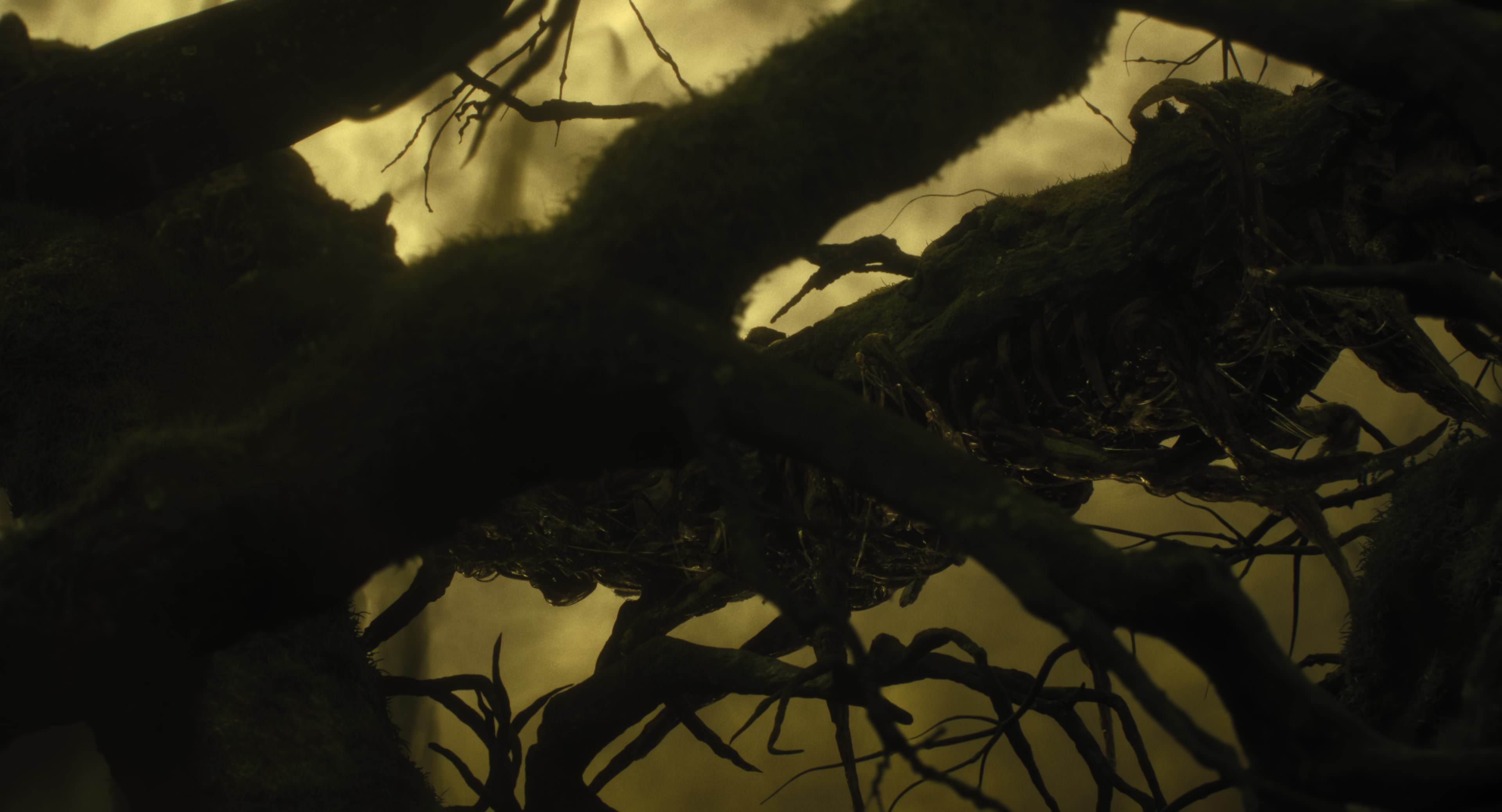 The Gorge (2025) [4K] movie still 8626