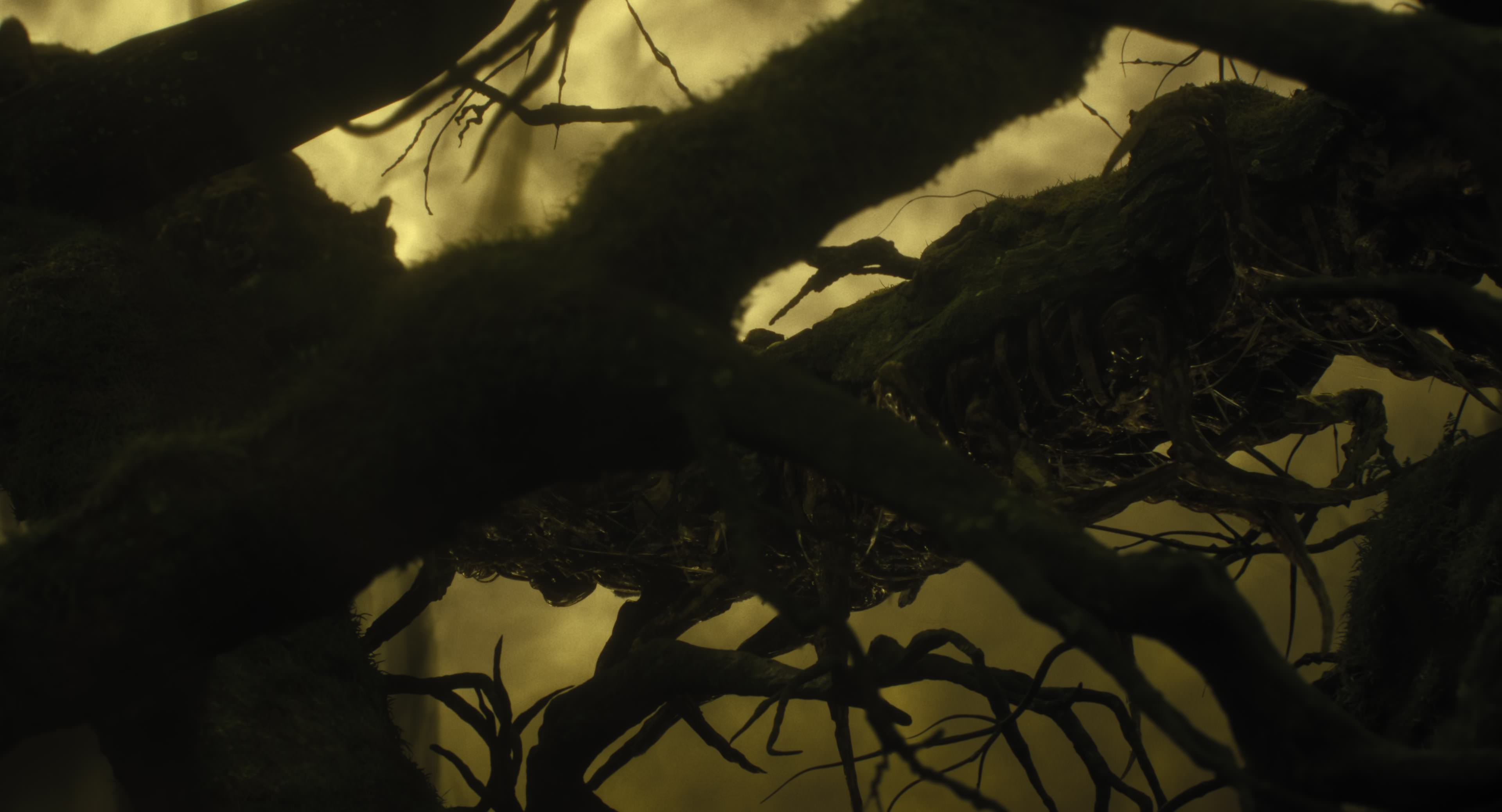The Gorge (2025) [4K] HD screenshot 8627