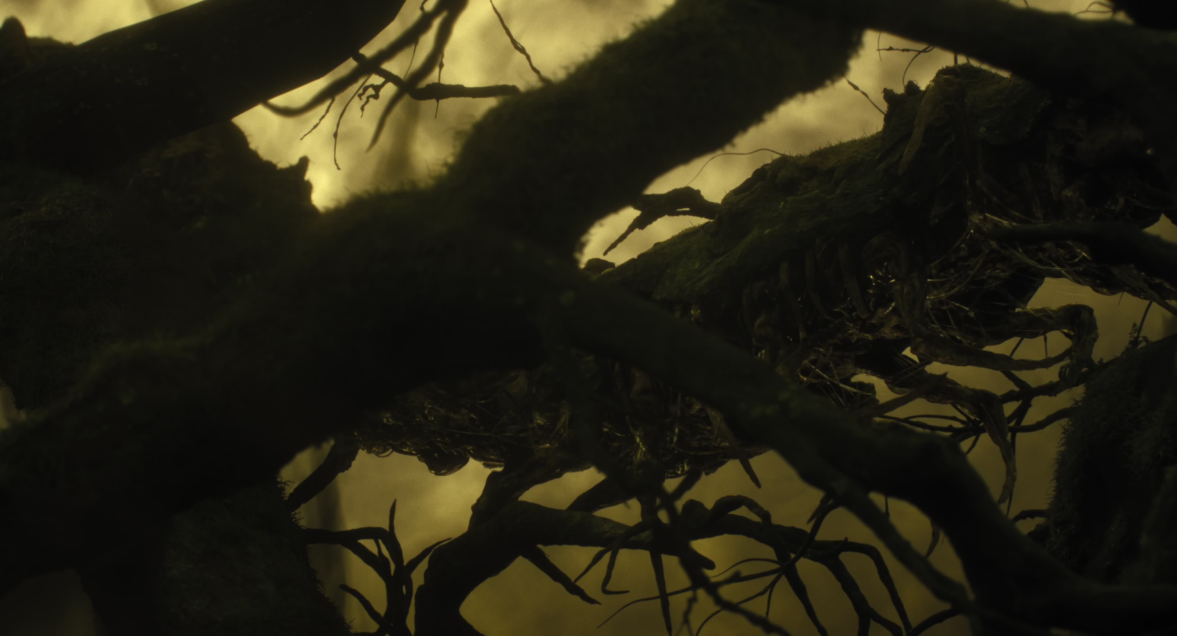 The Gorge (2025) [4K] screencap 8628