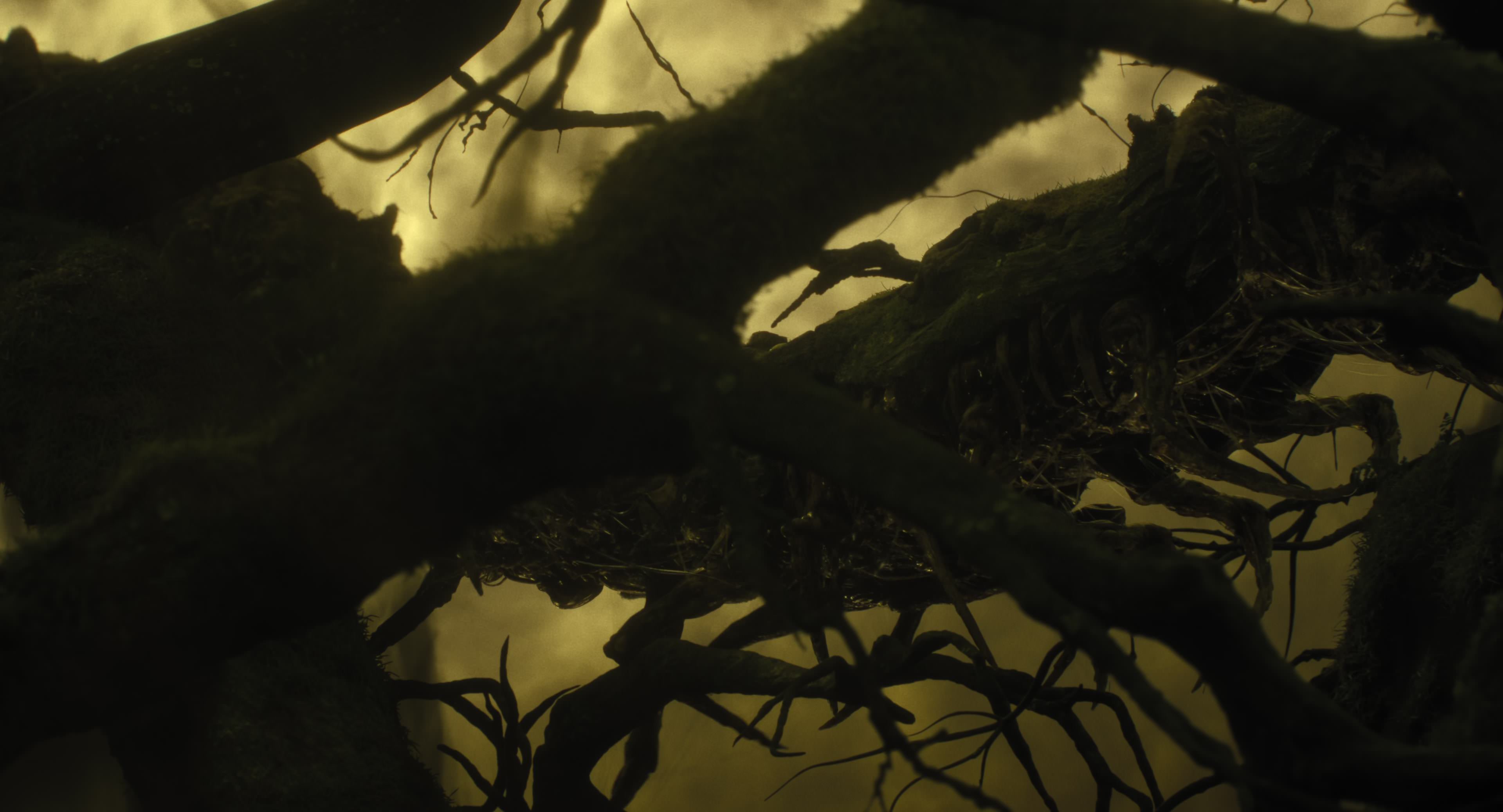 The Gorge (2025) [4K] movie still 8629