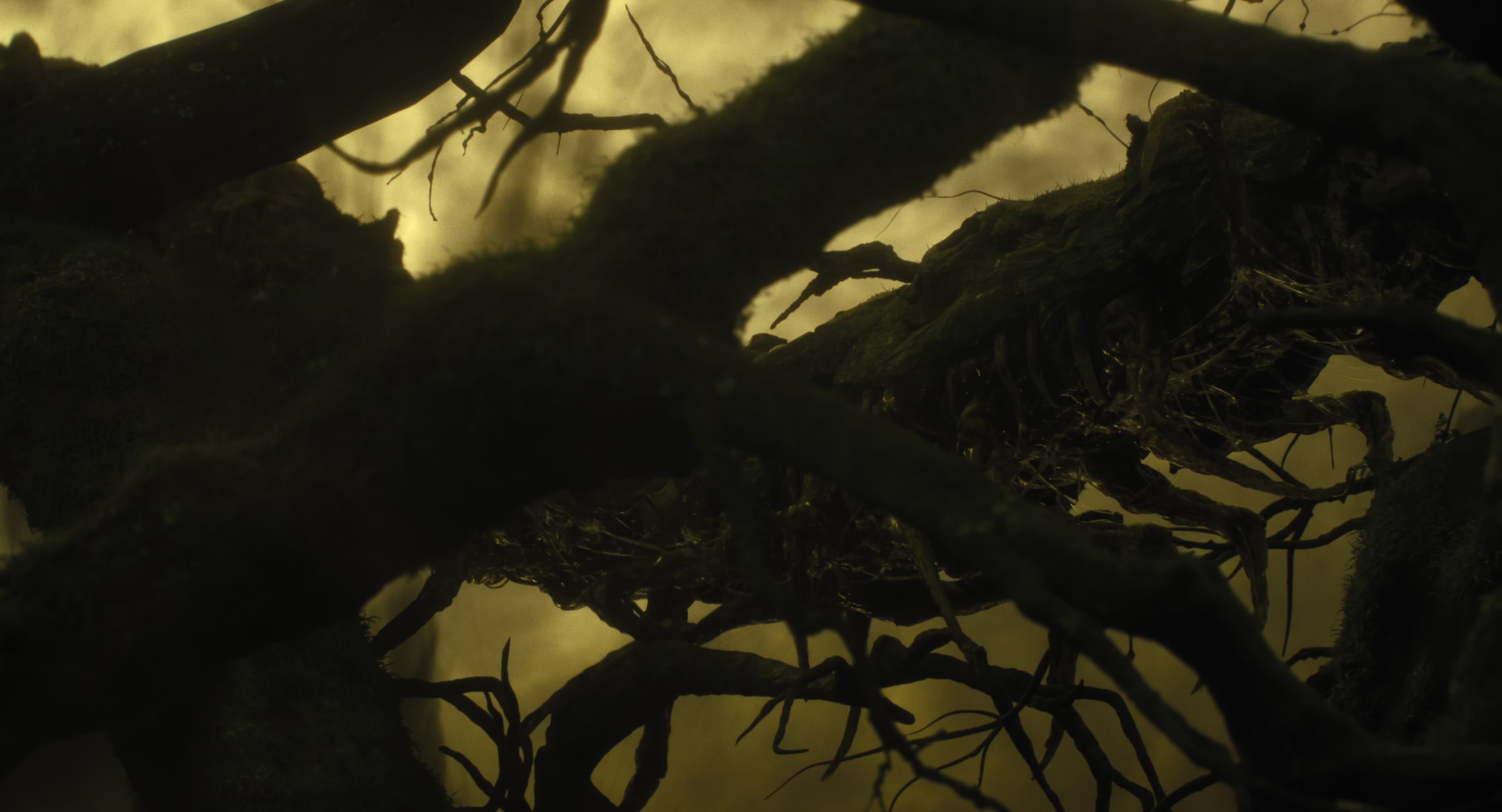 The Gorge (2025) [4K] HD screenshot 8630