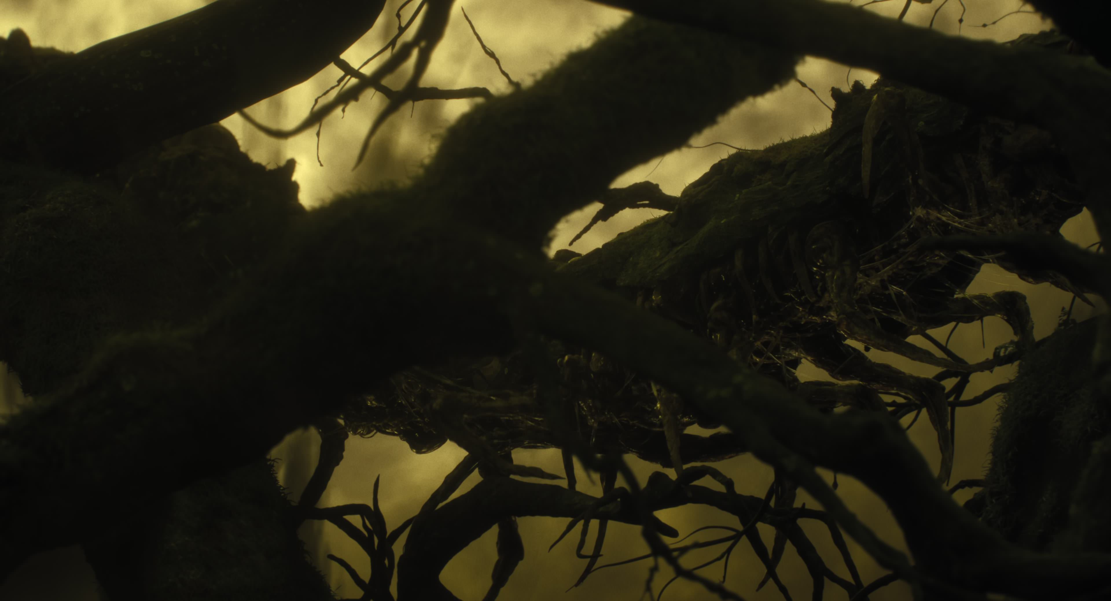 The Gorge (2025) [4K] screencap 8631