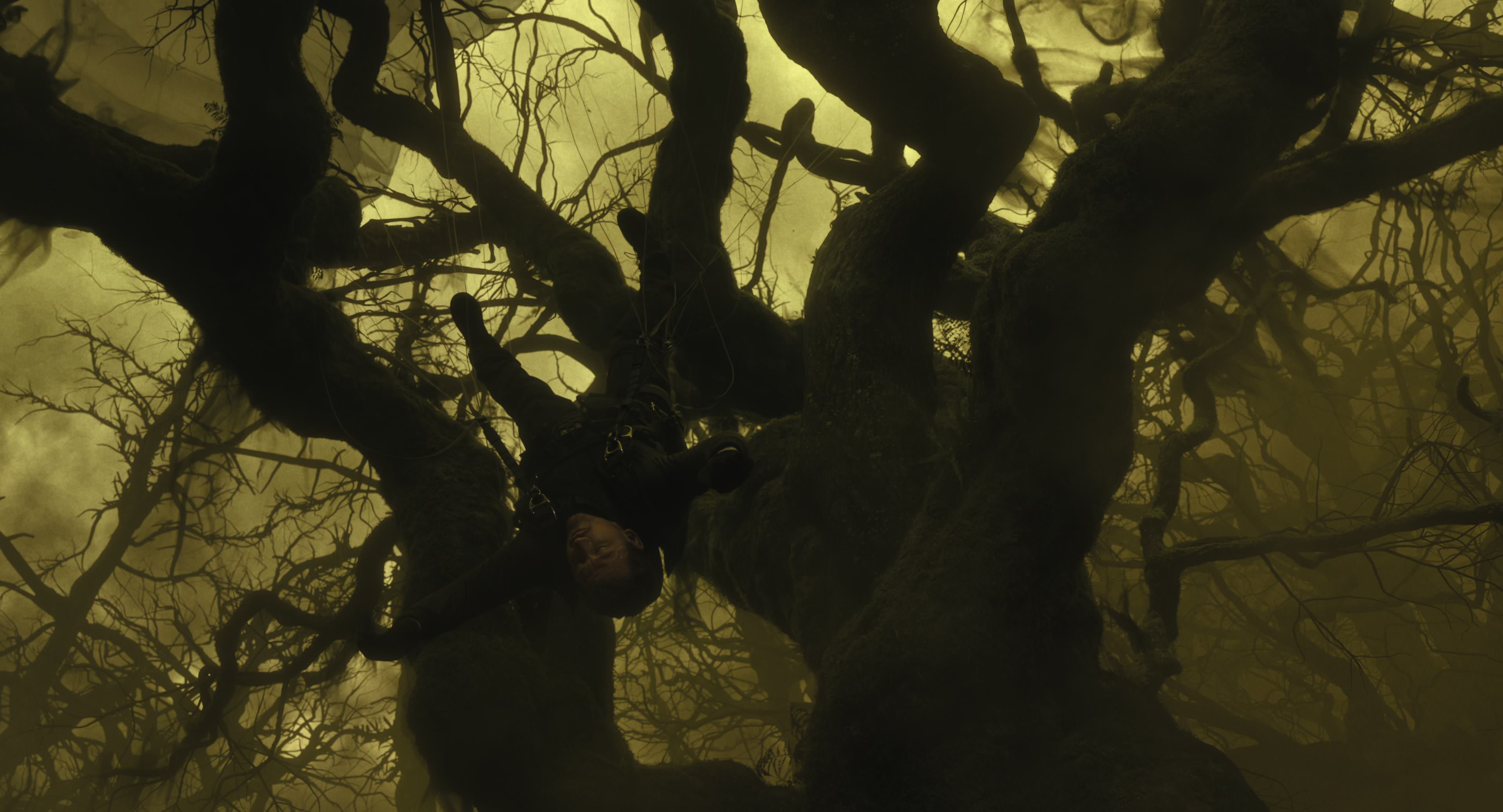 The Gorge (2025) [4K] HD screenshot 8633
