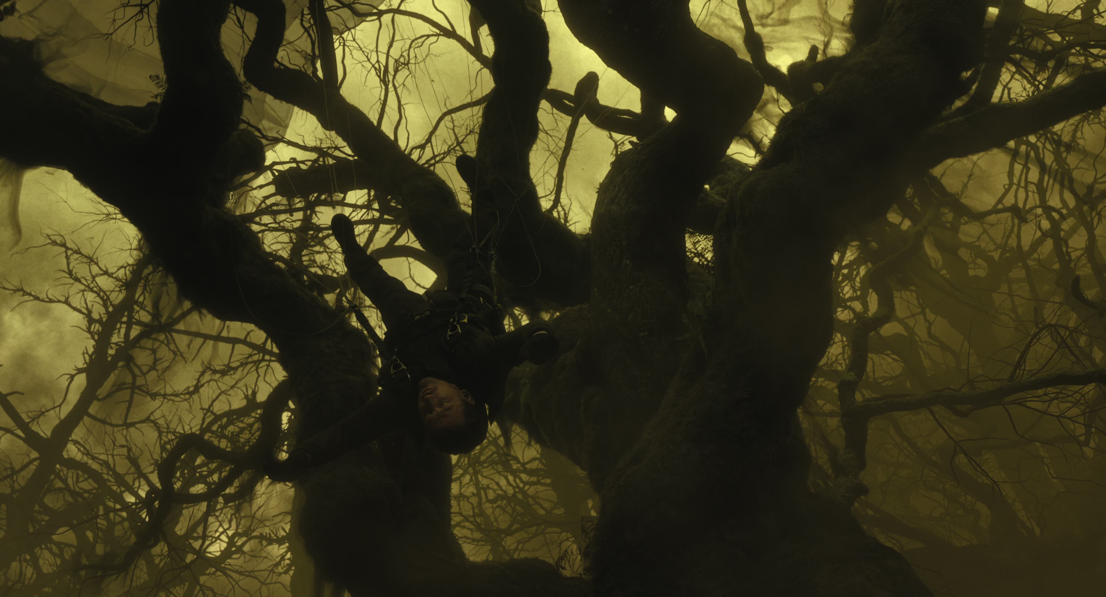 The Gorge (2025) [4K] movie still 8641
