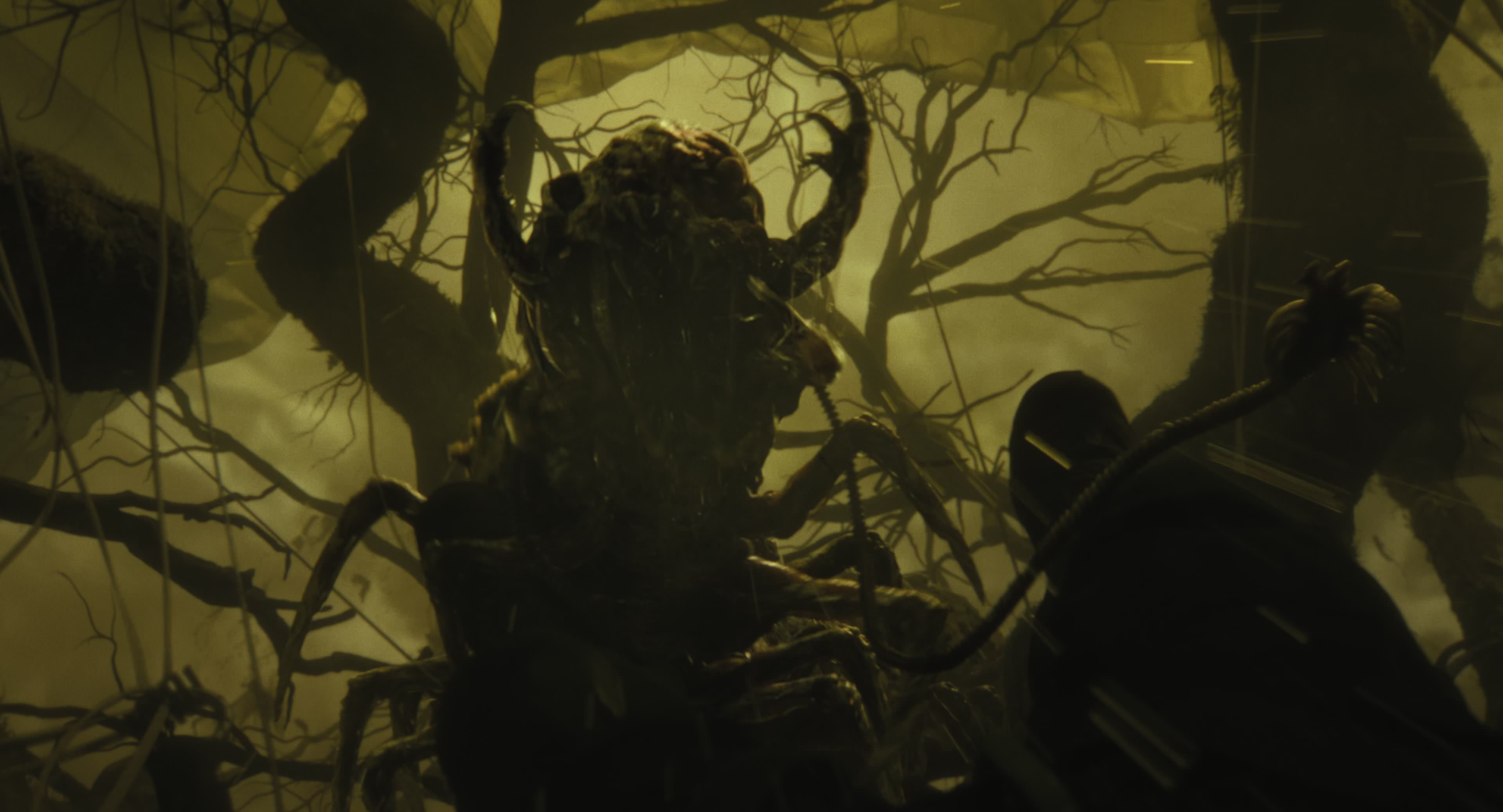 The Gorge (2025) [4K] HD screenshot 8684