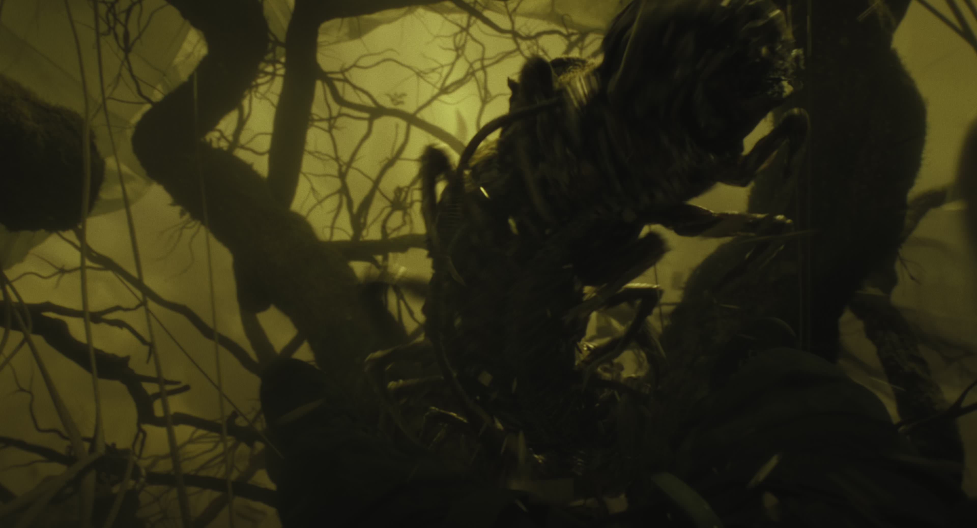 The Gorge (2025) [4K] HD screenshot 8690