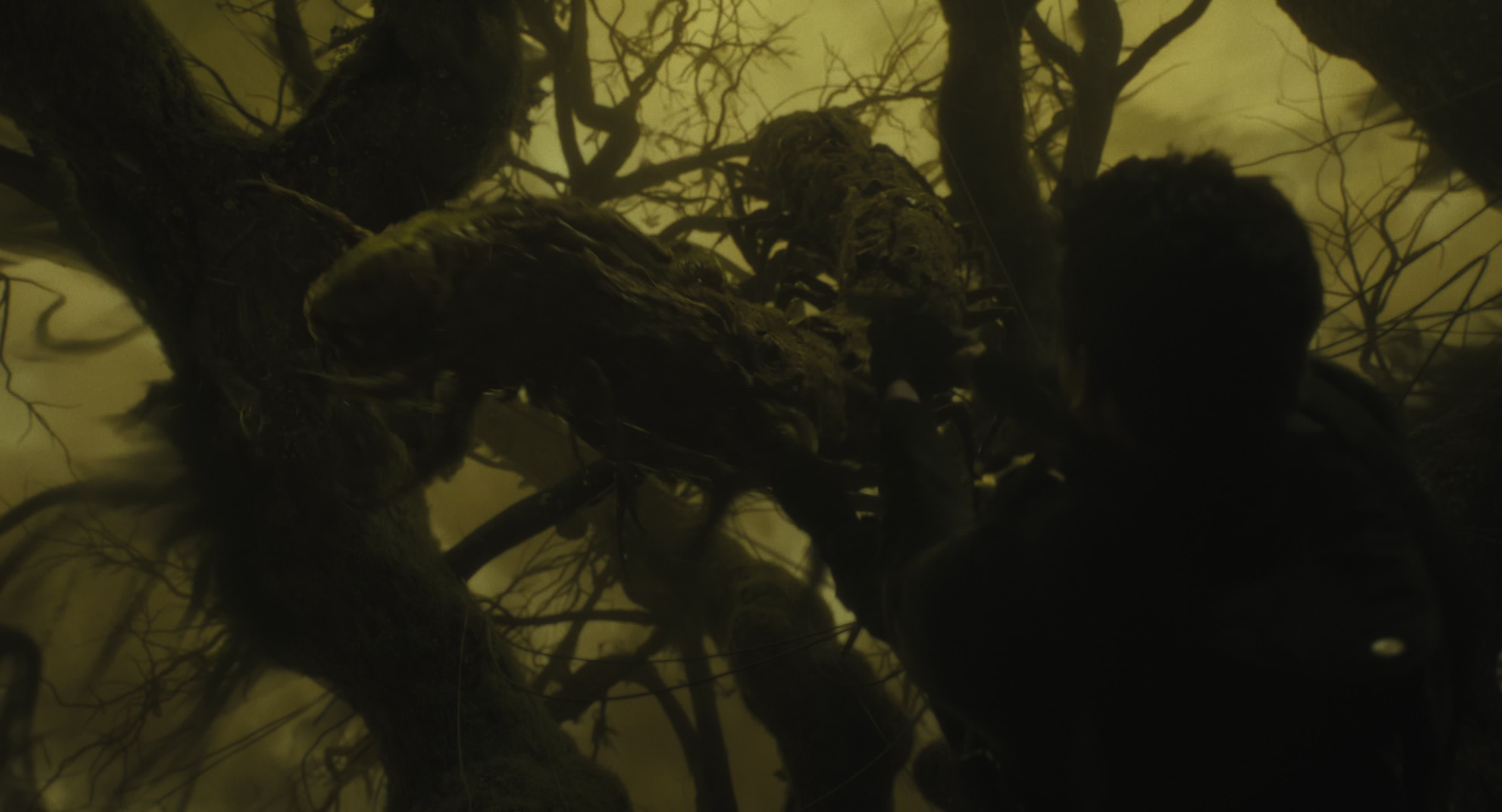 The Gorge (2025) [4K] screencap 8694