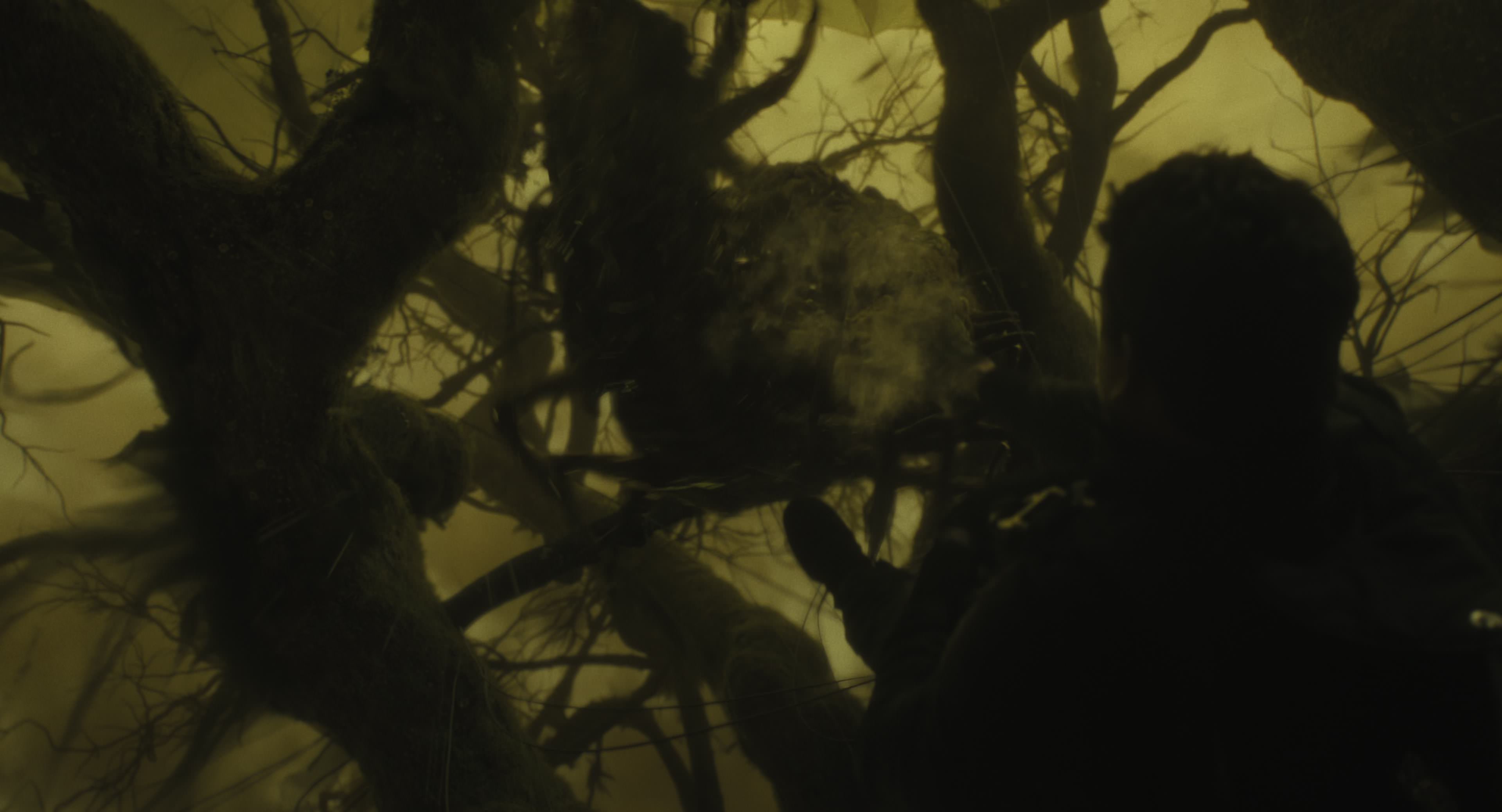 The Gorge (2025) [4K] movie still 8695