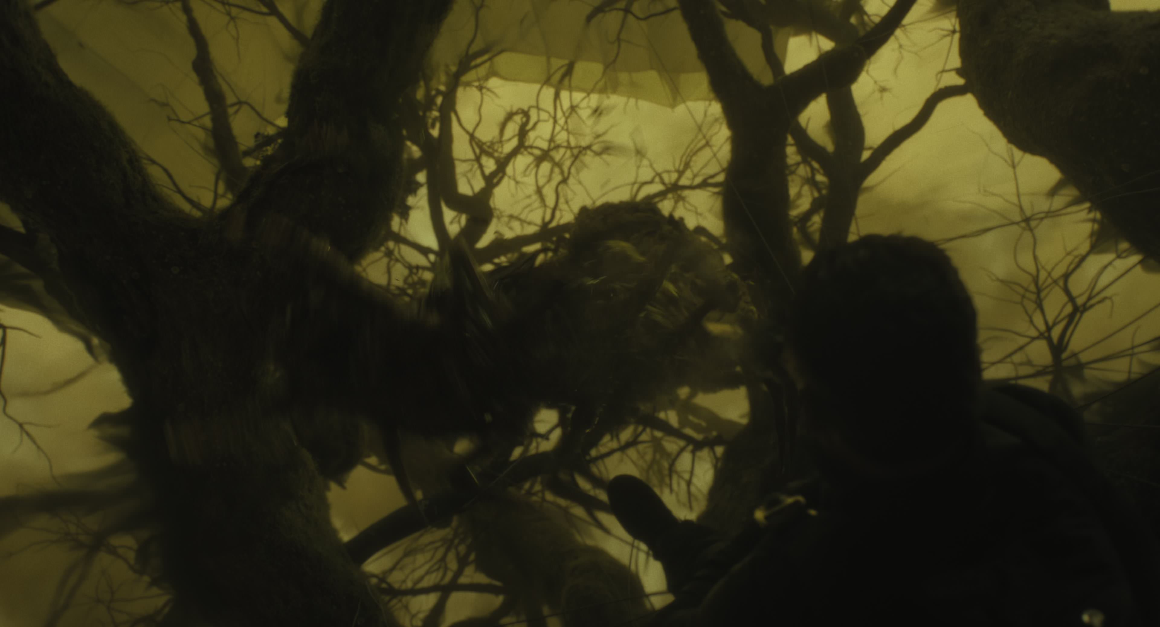 The Gorge (2025) [4K] HD screenshot 8696