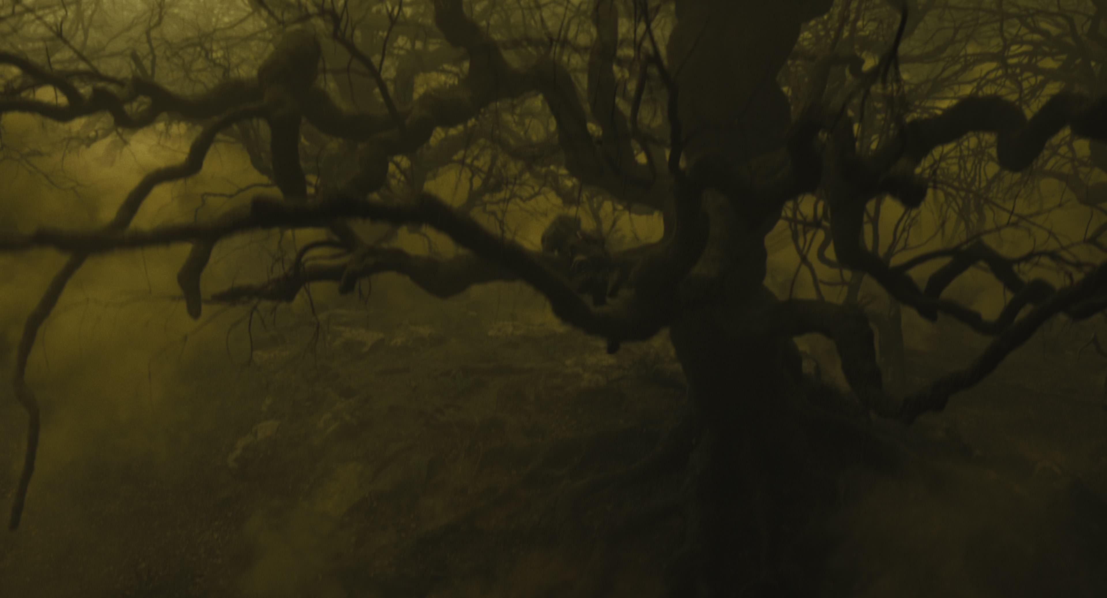 The Gorge (2025) [4K] HD screenshot 8702