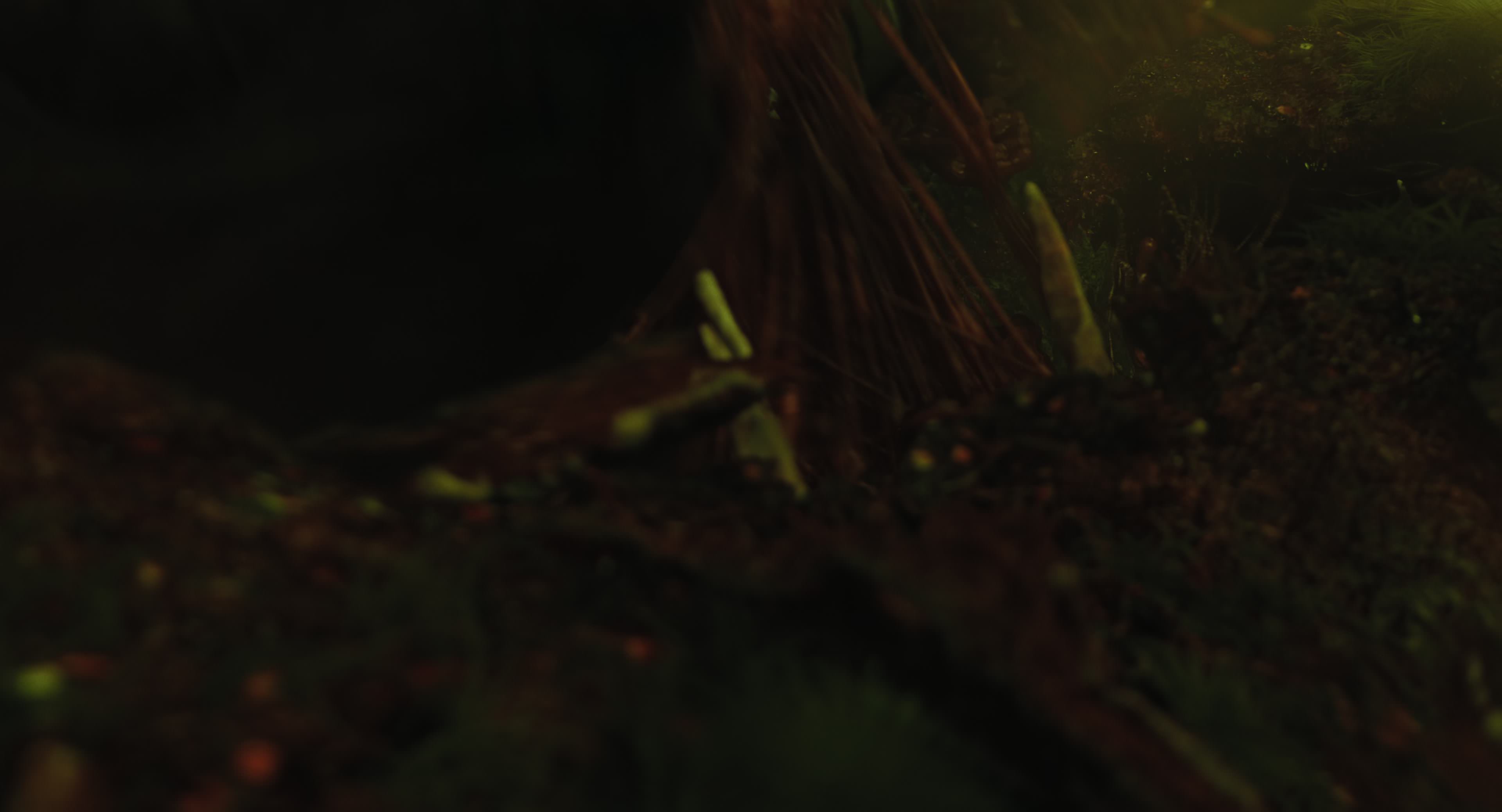 The Gorge (2025) [4K] screencap 8733