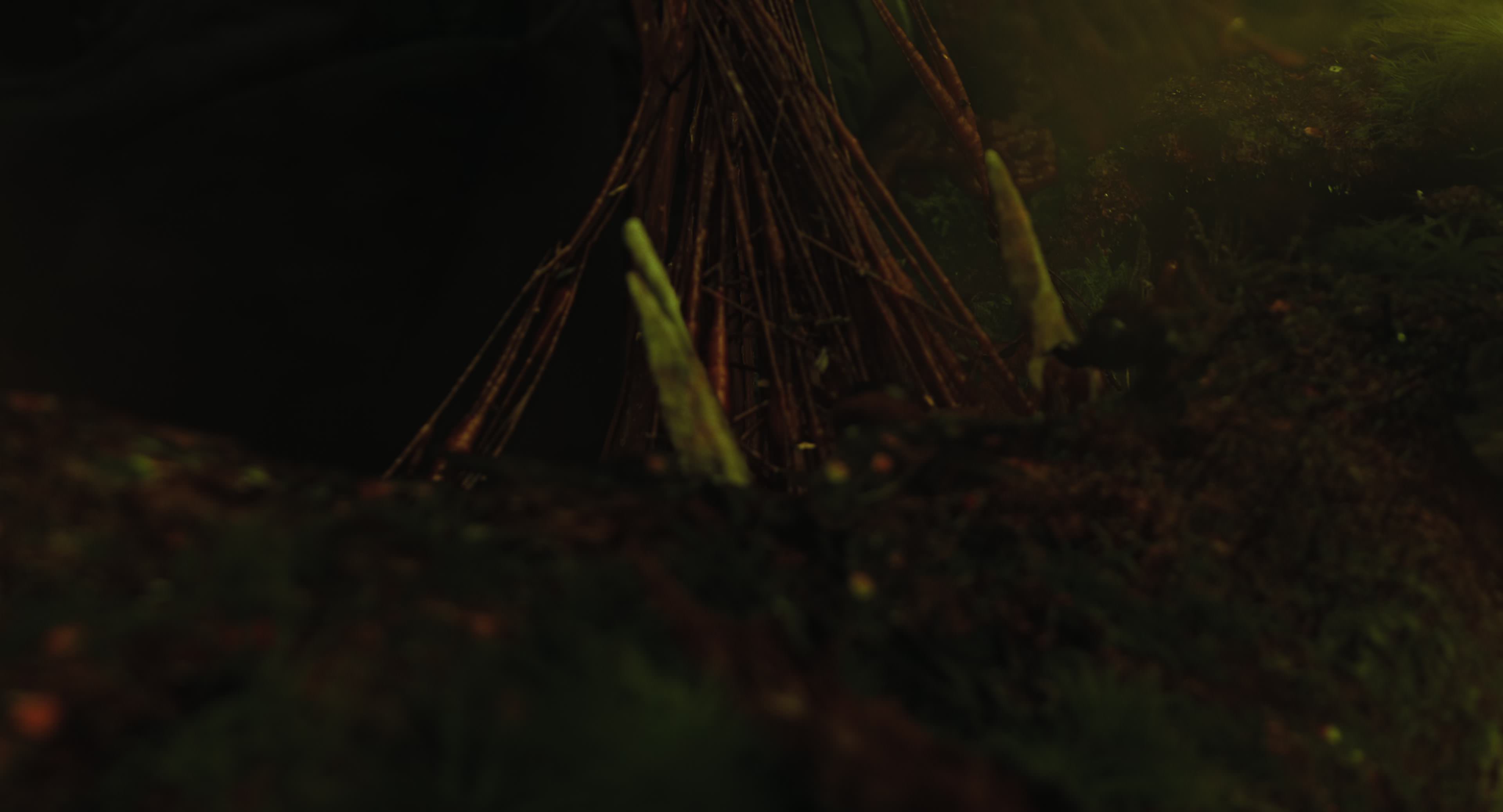 The Gorge (2025) [4K] movie still 8734