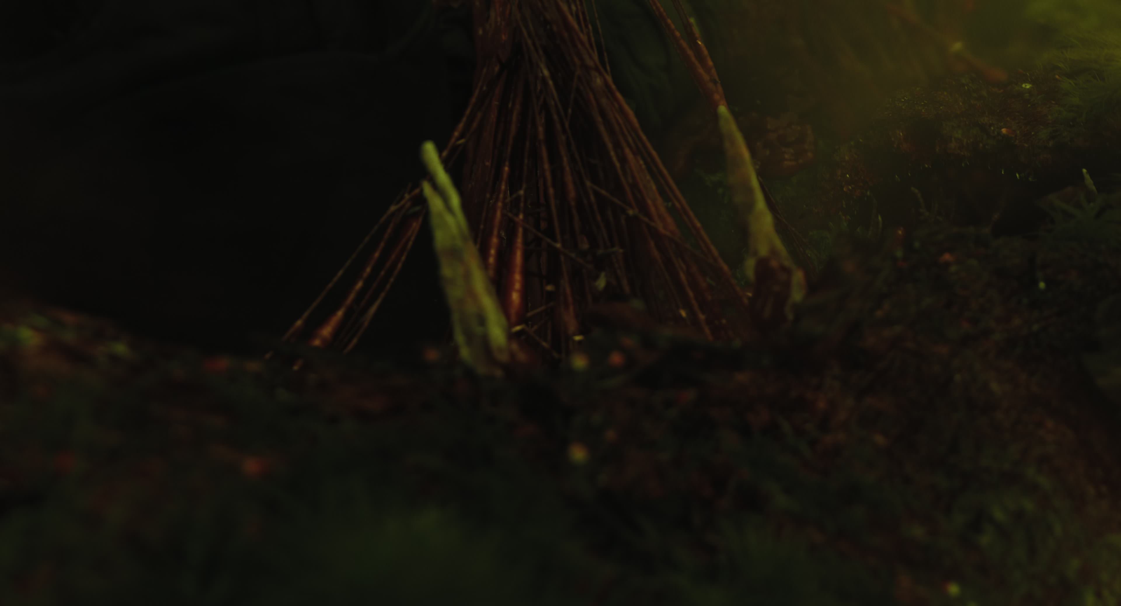 The Gorge (2025) [4K] HD screenshot 8735