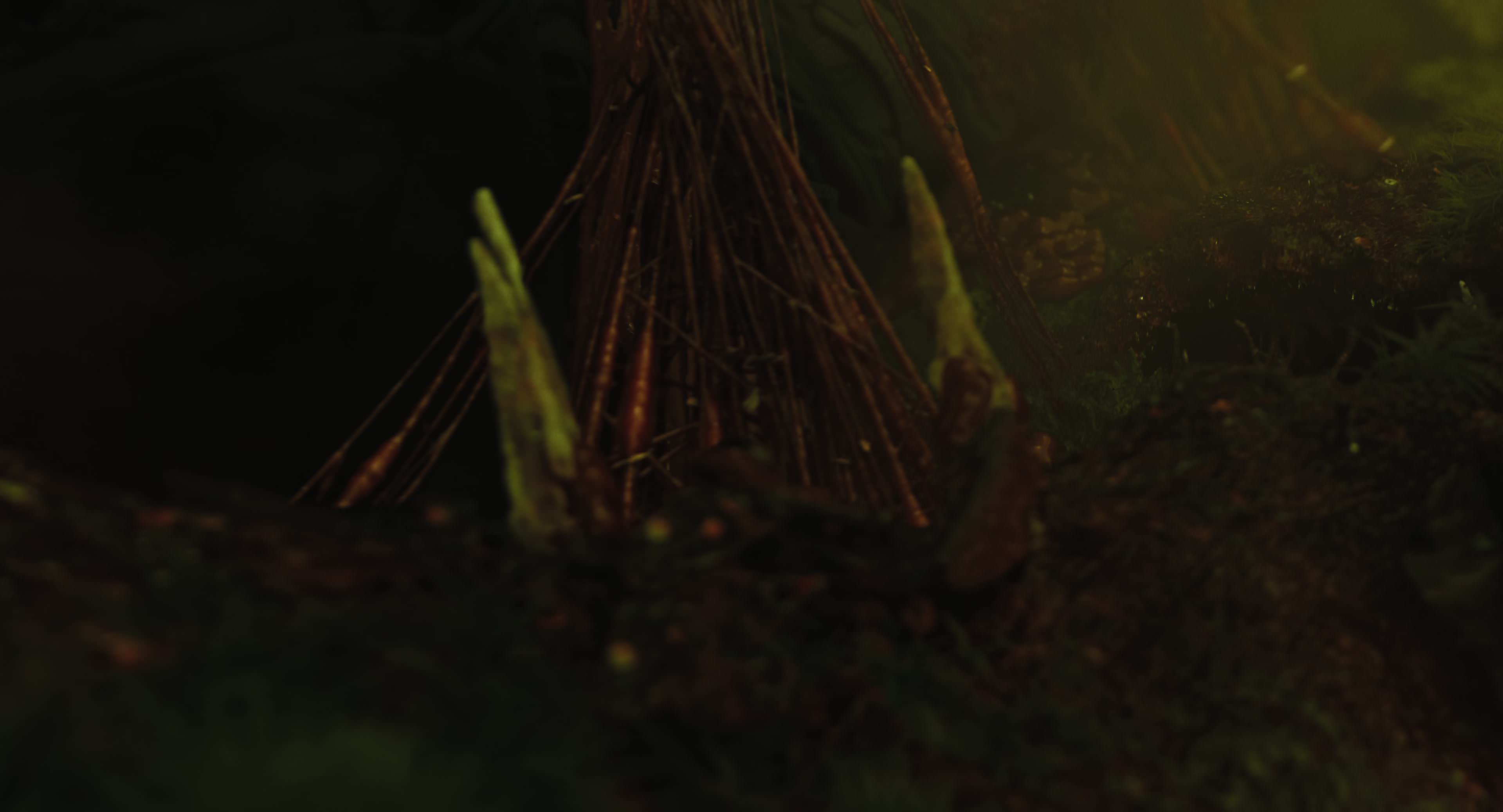 The Gorge (2025) [4K] screencap 8736