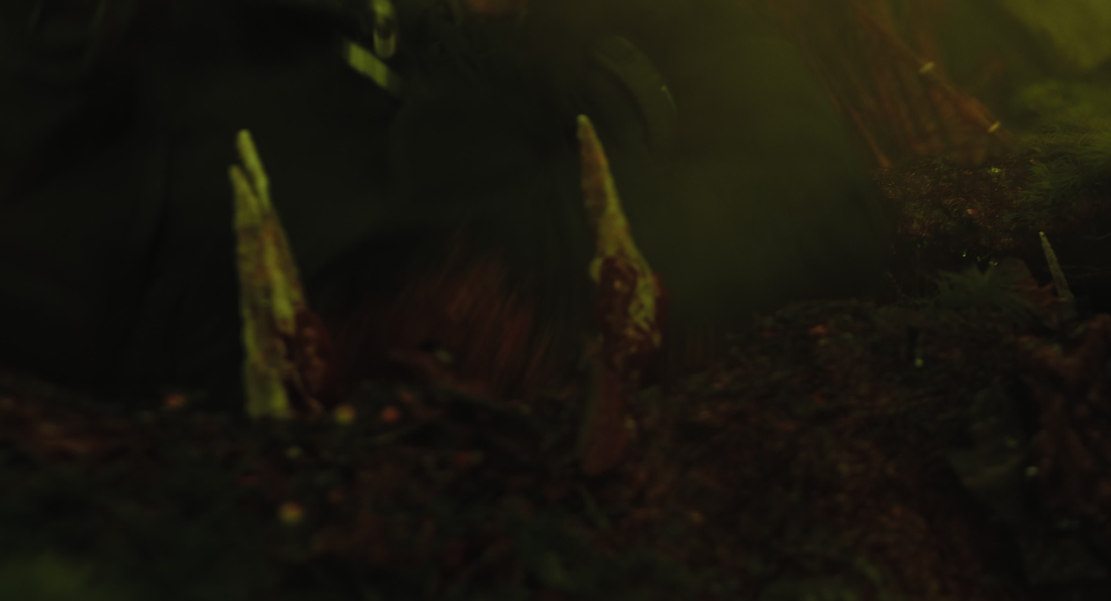 The Gorge (2025) [4K] movie still 8737