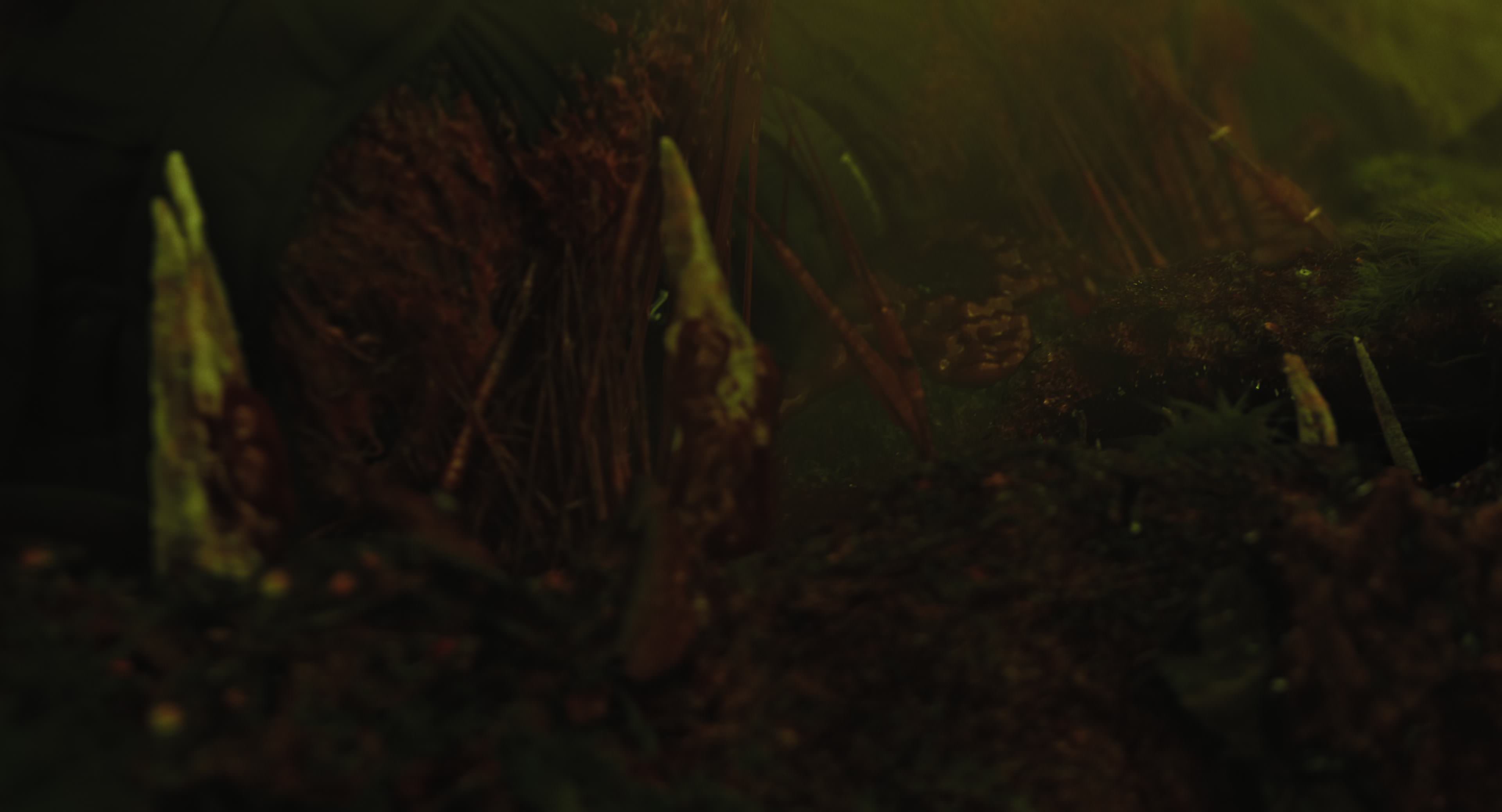 The Gorge (2025) [4K] HD screenshot 8738