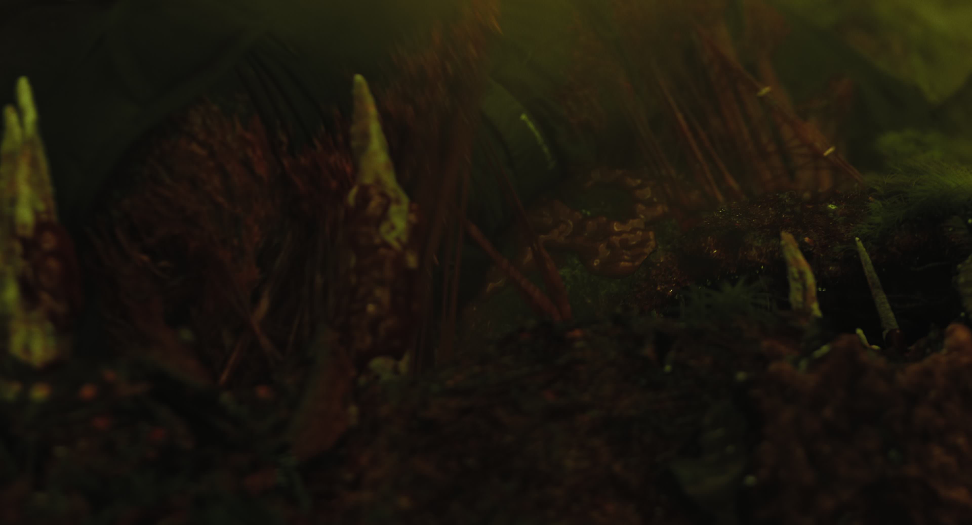 The Gorge (2025) [4K] screencap 8739