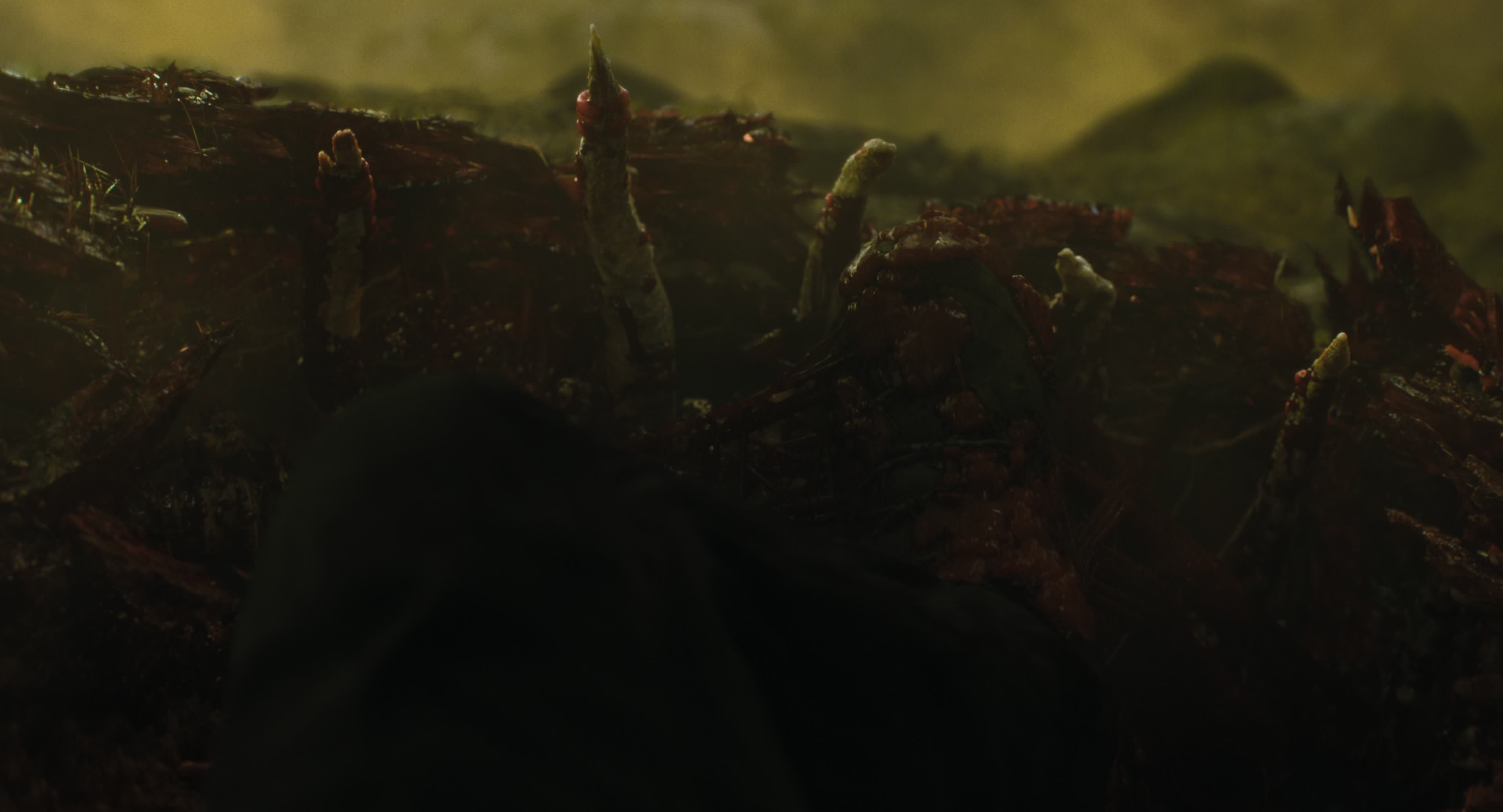 The Gorge (2025) [4K] HD screenshot 8747