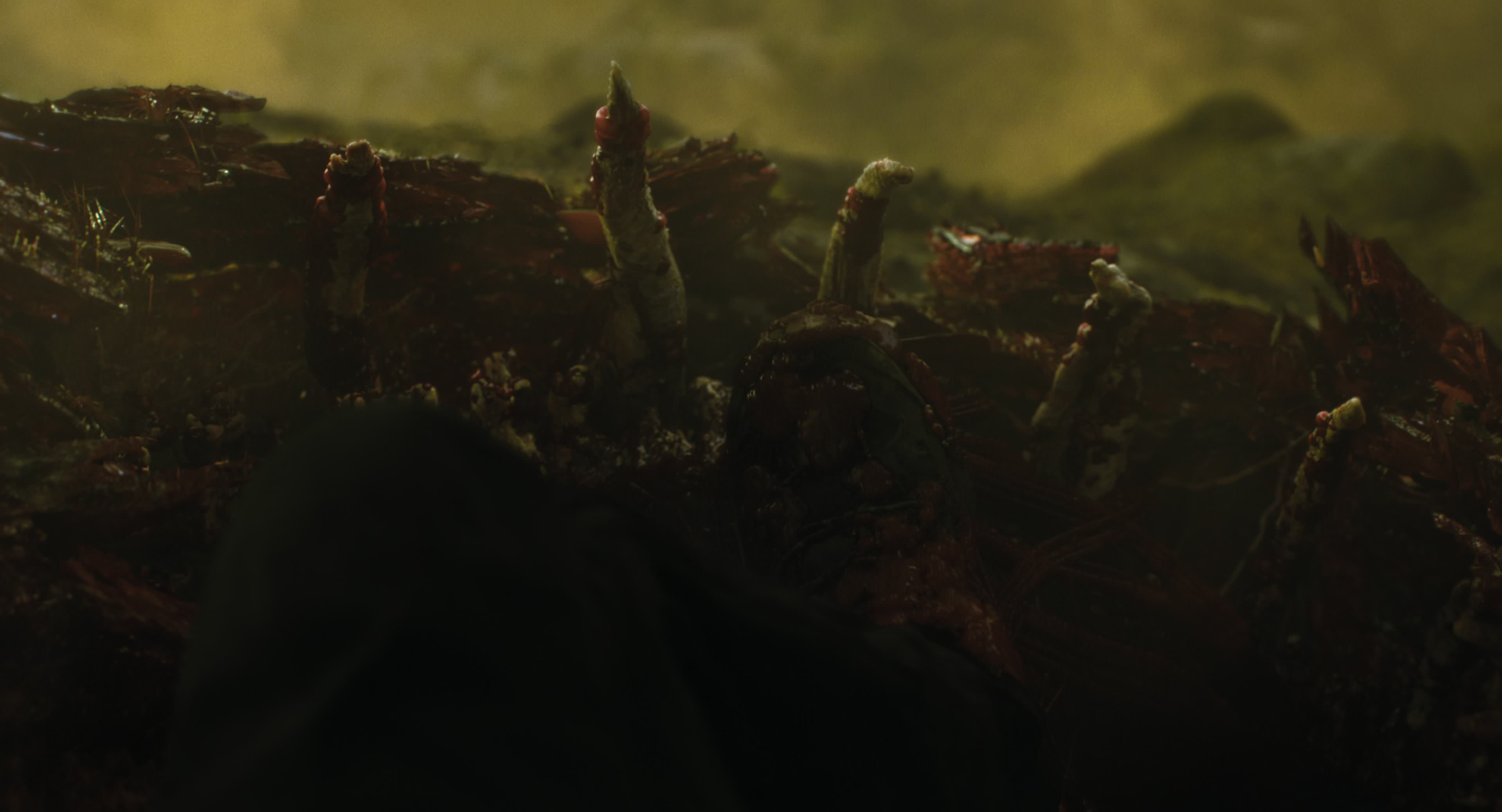 The Gorge (2025) [4K] movie still 8749