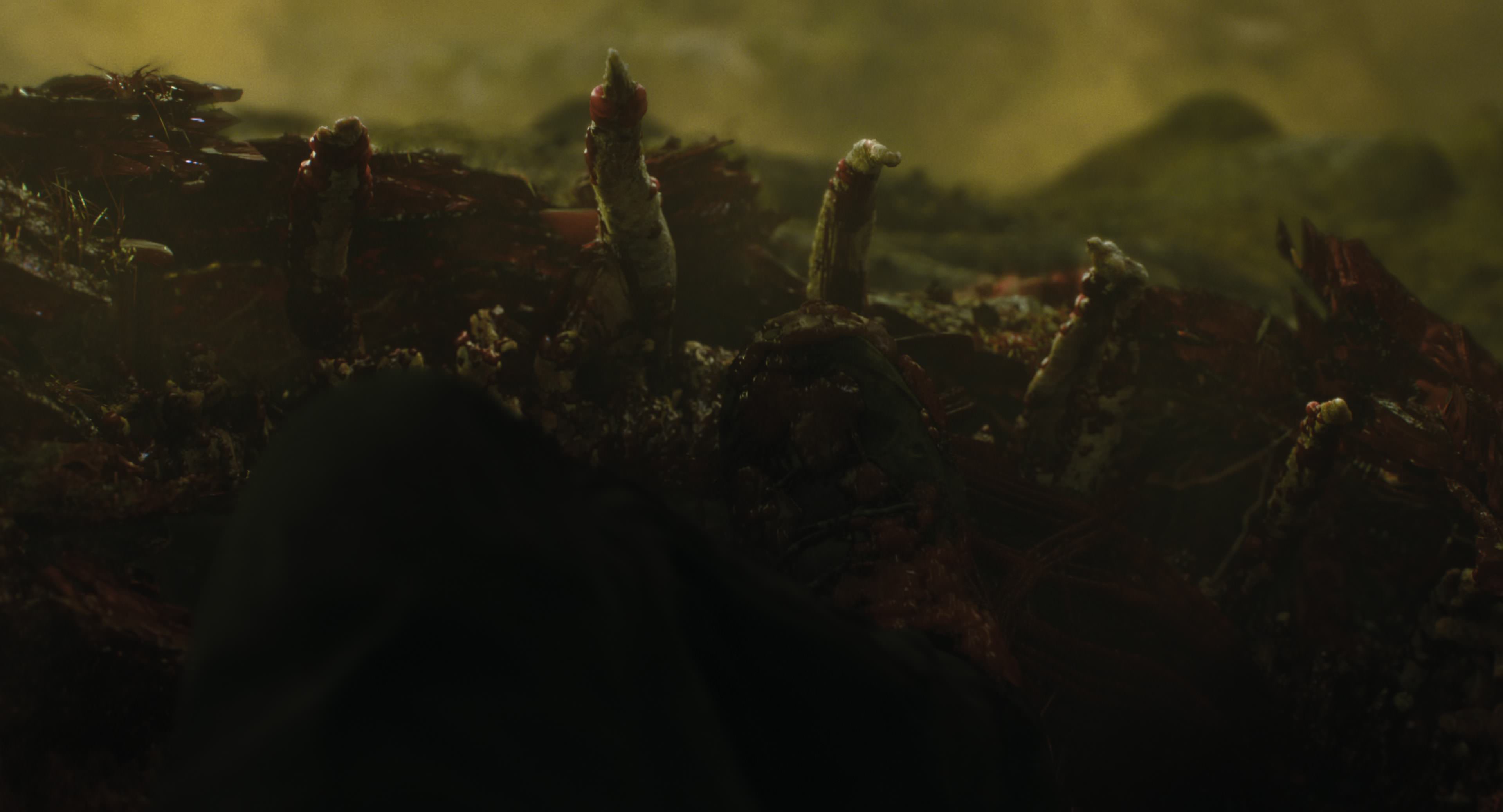 The Gorge (2025) [4K] HD screenshot 8750