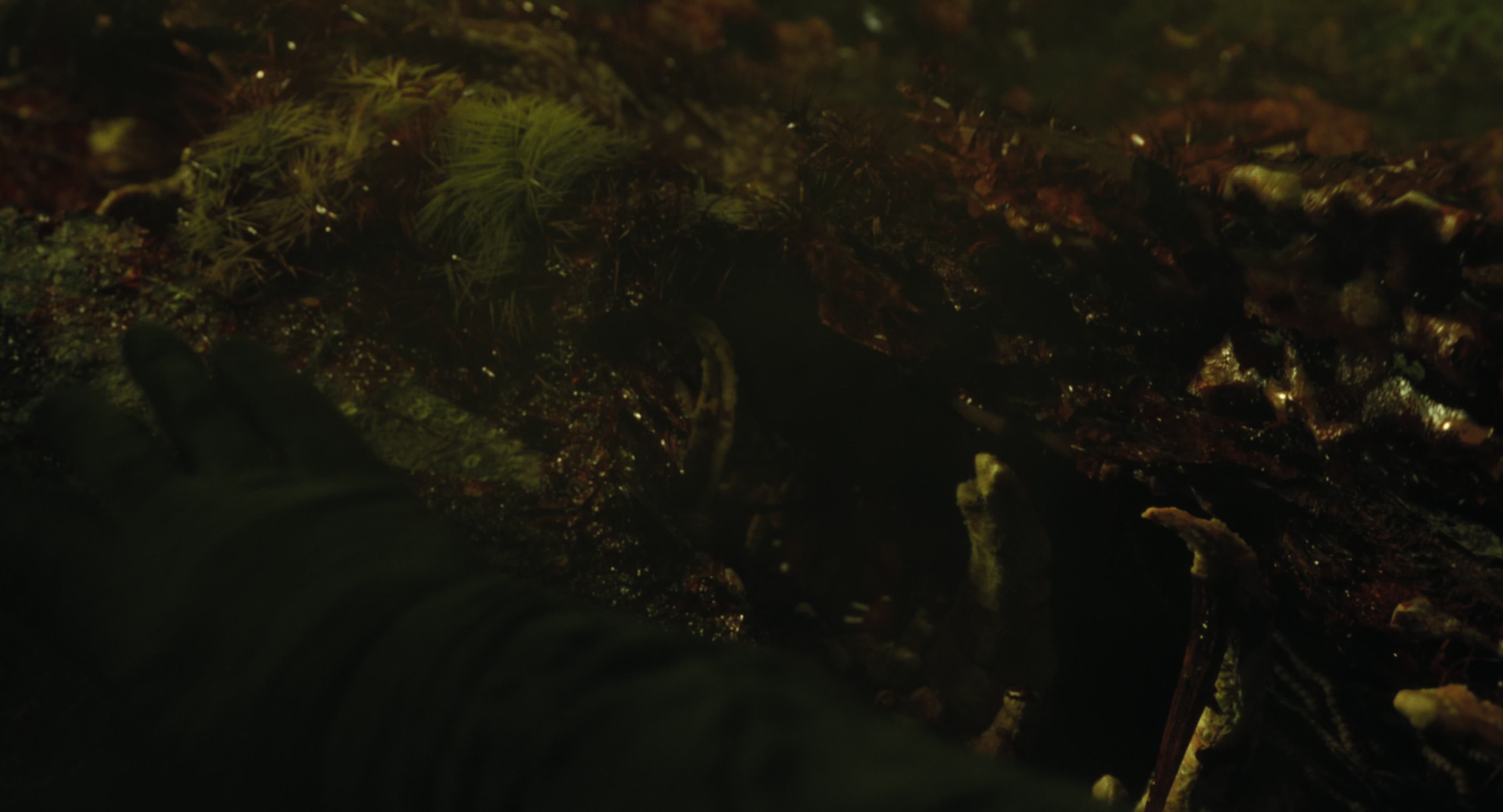 The Gorge (2025) [4K] movie still 8755