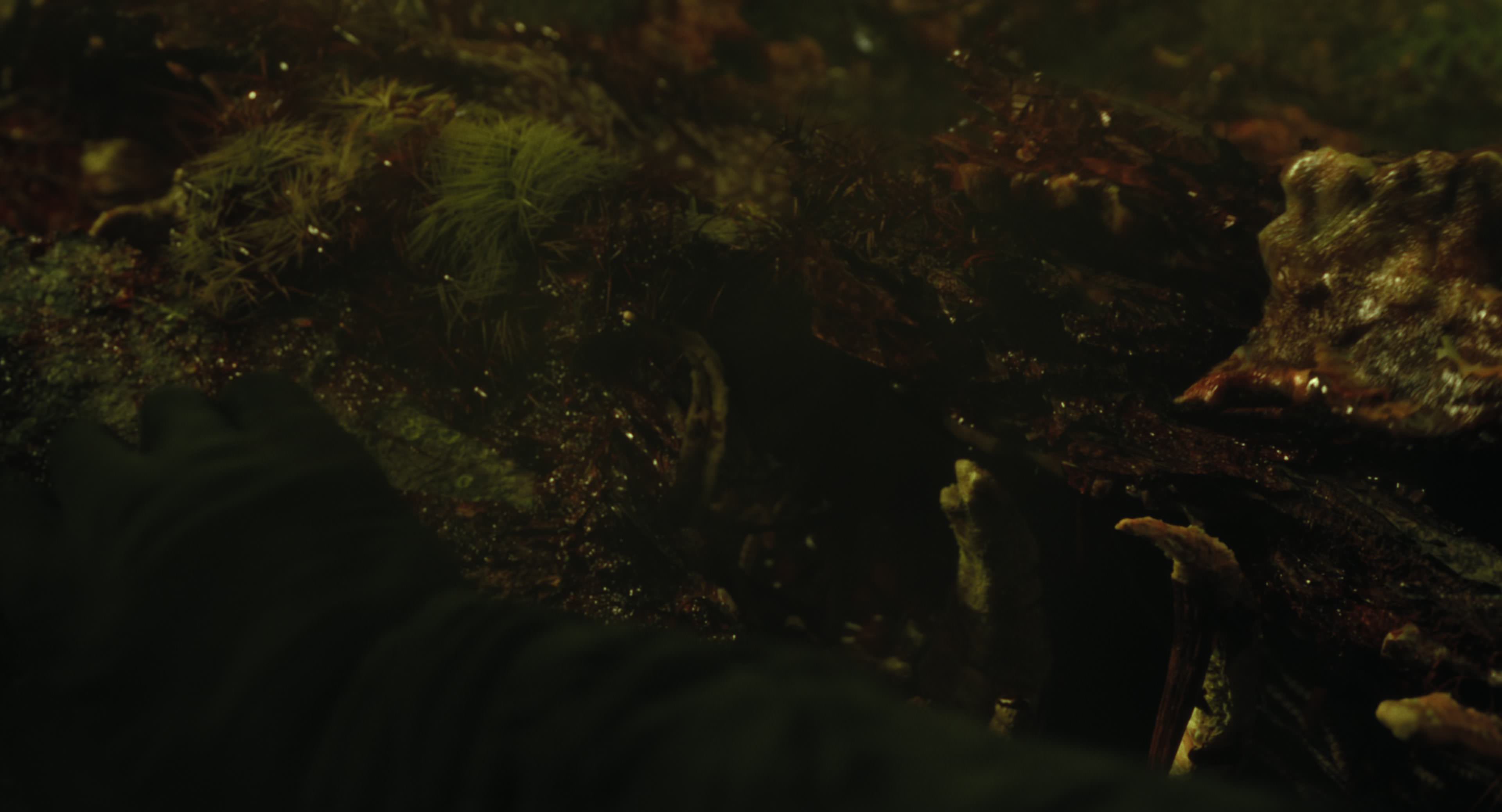 The Gorge (2025) [4K] HD screenshot 8756