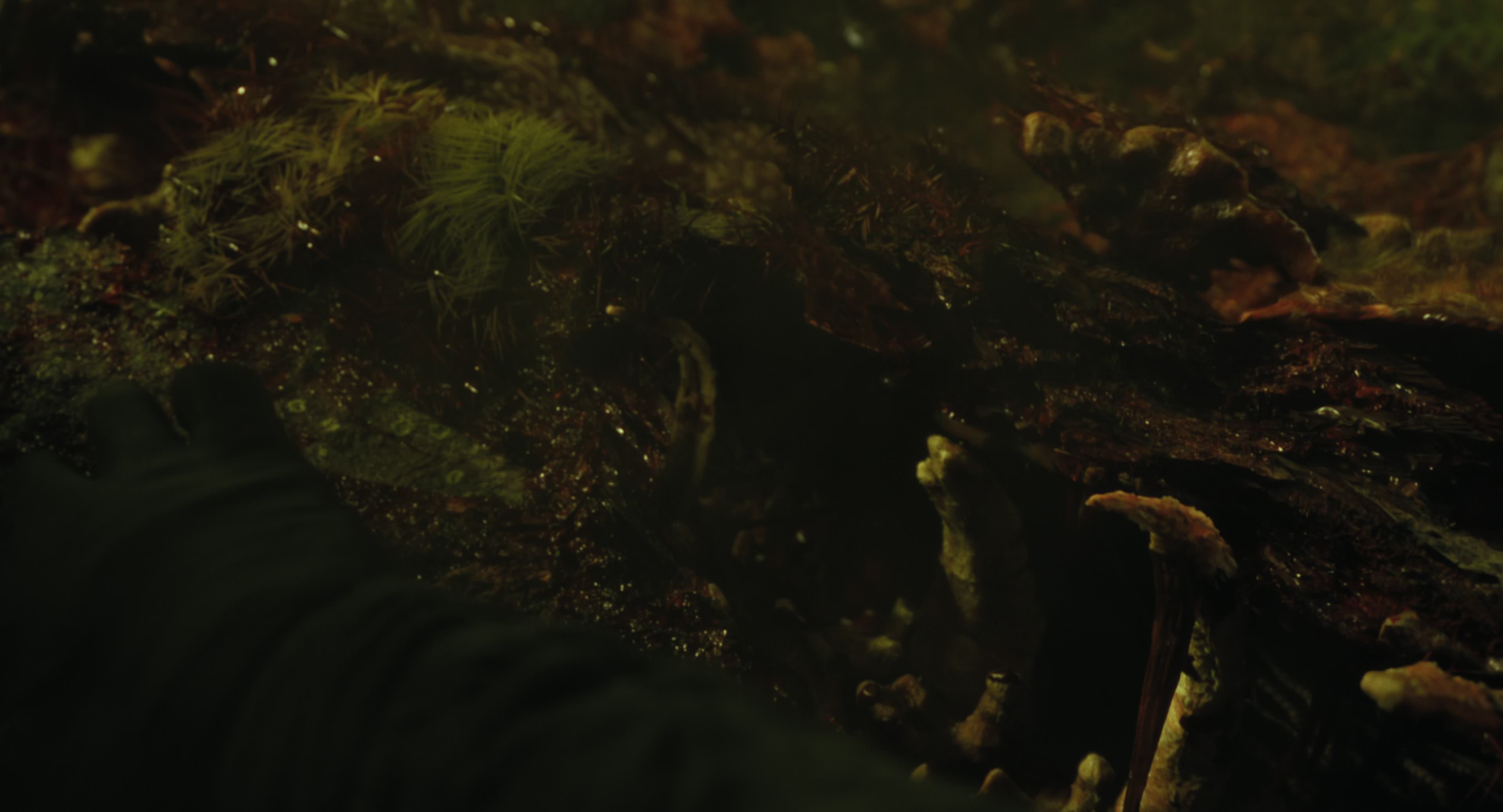 The Gorge (2025) [4K] screencap 8757