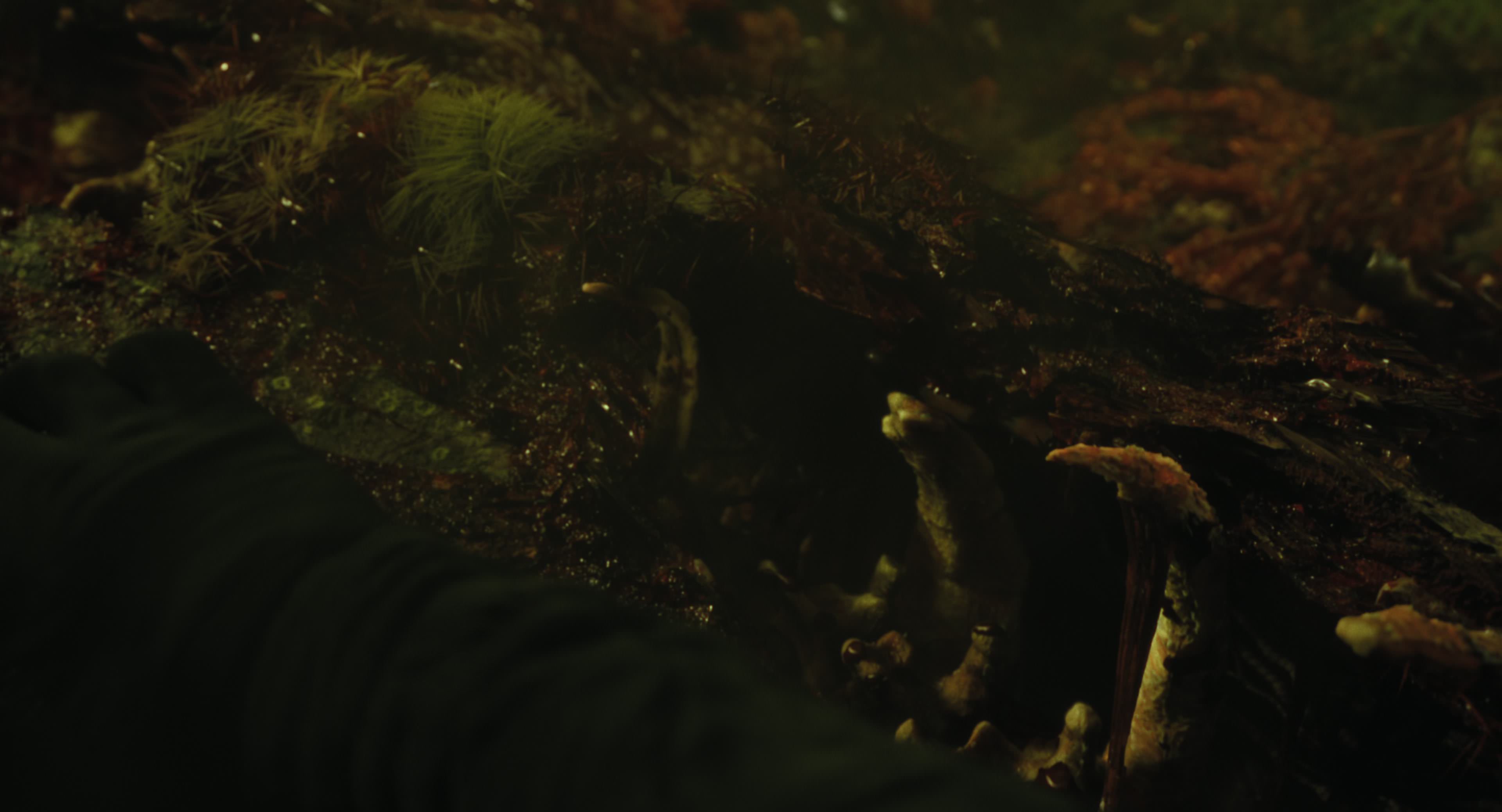 The Gorge (2025) [4K] movie still 8758