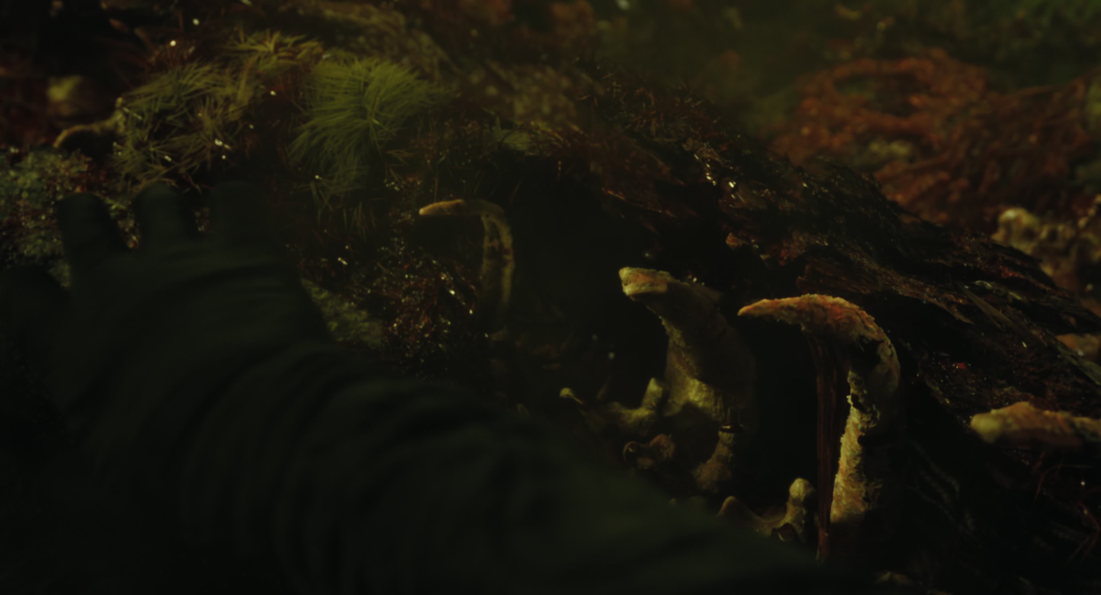 The Gorge (2025) [4K] screencap 8760