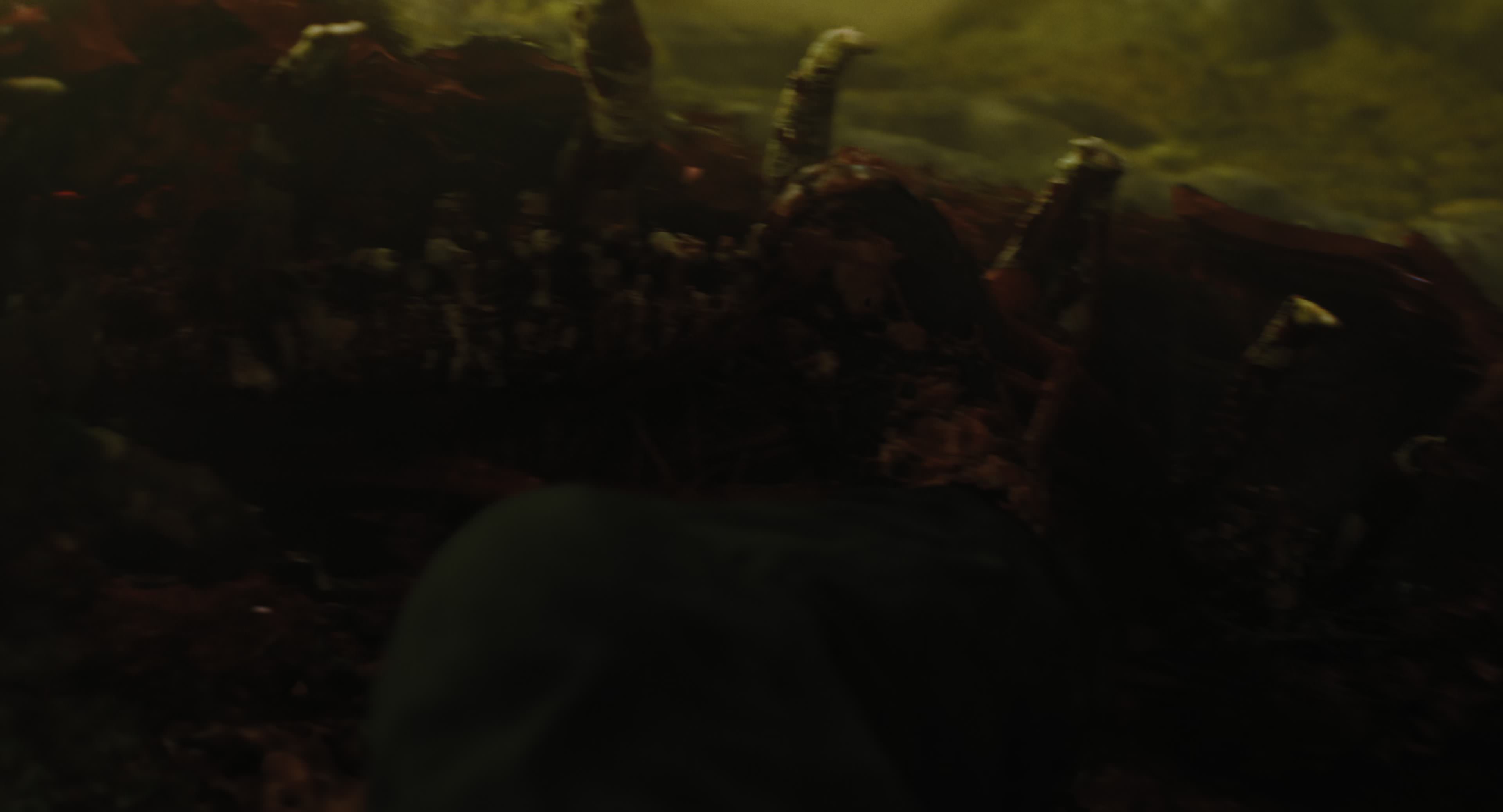 The Gorge (2025) [4K] movie still 8764