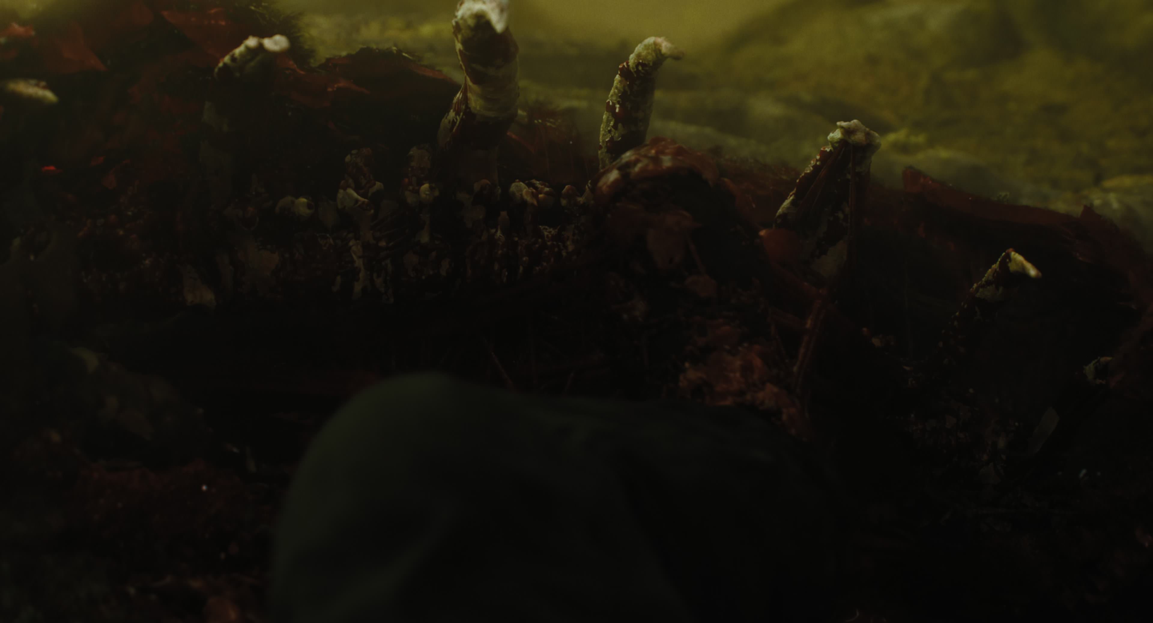 The Gorge (2025) [4K] HD screenshot 8765