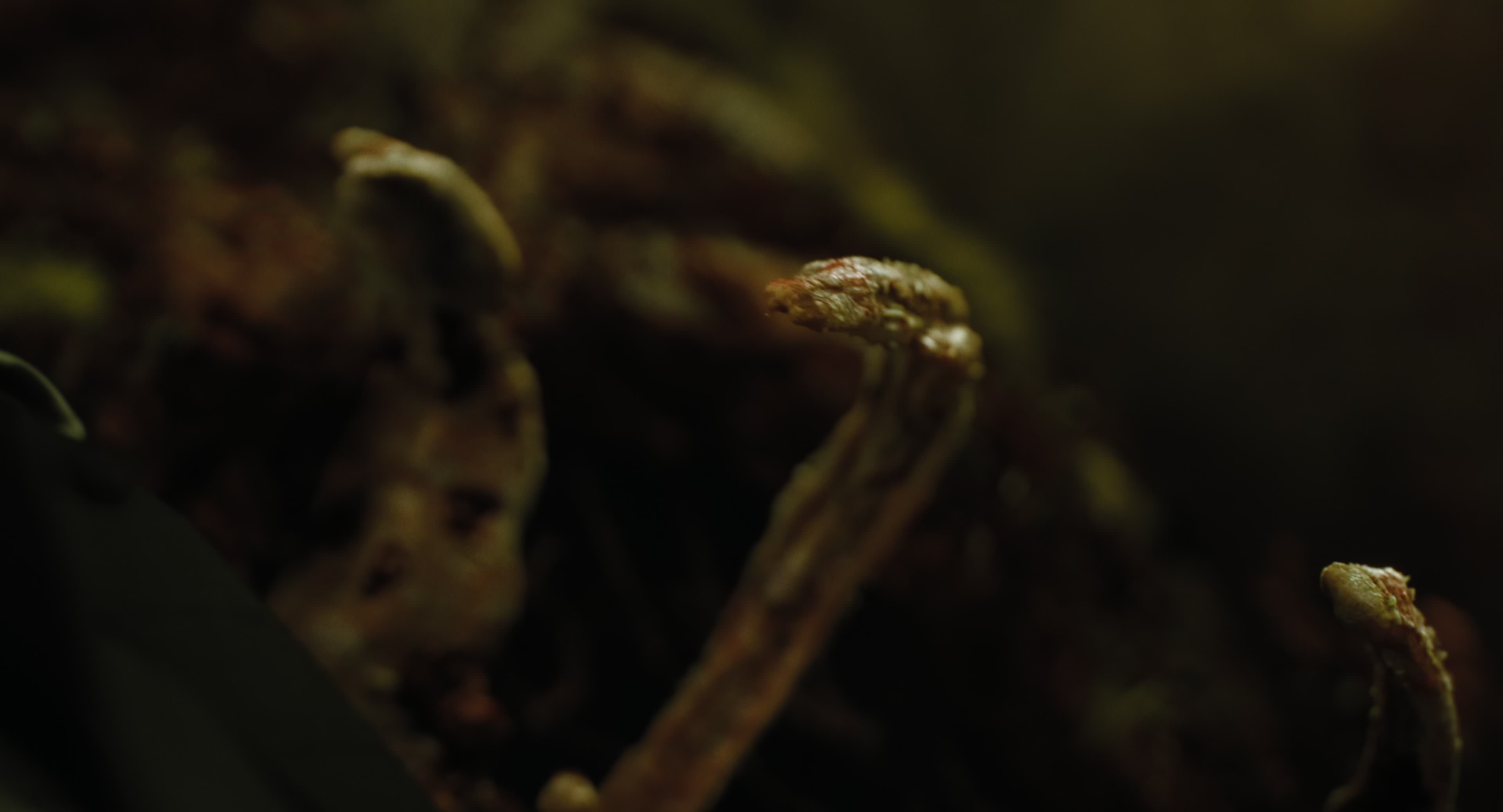The Gorge (2025) [4K] HD screenshot 8768
