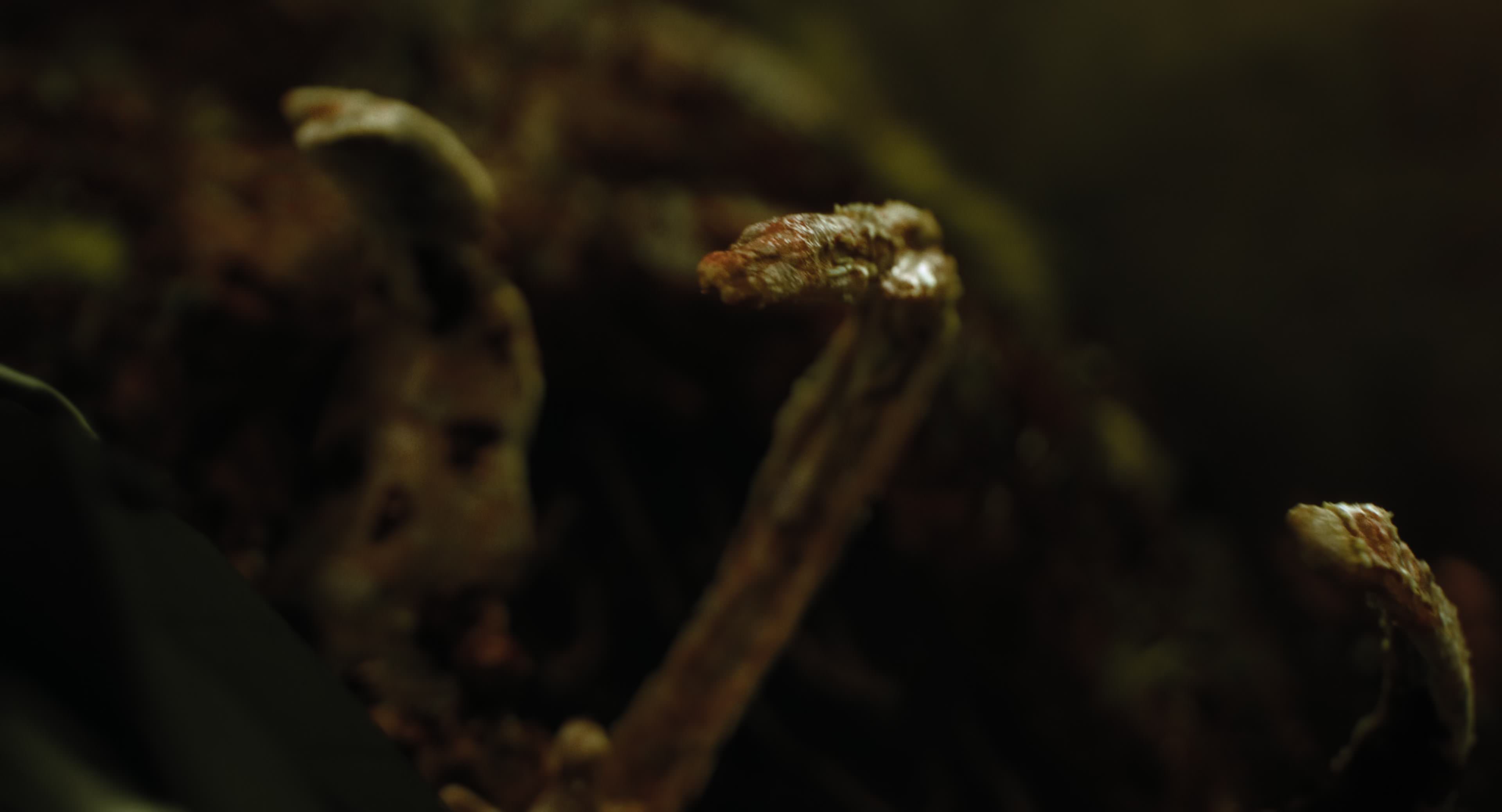 The Gorge (2025) [4K] screencap 8769