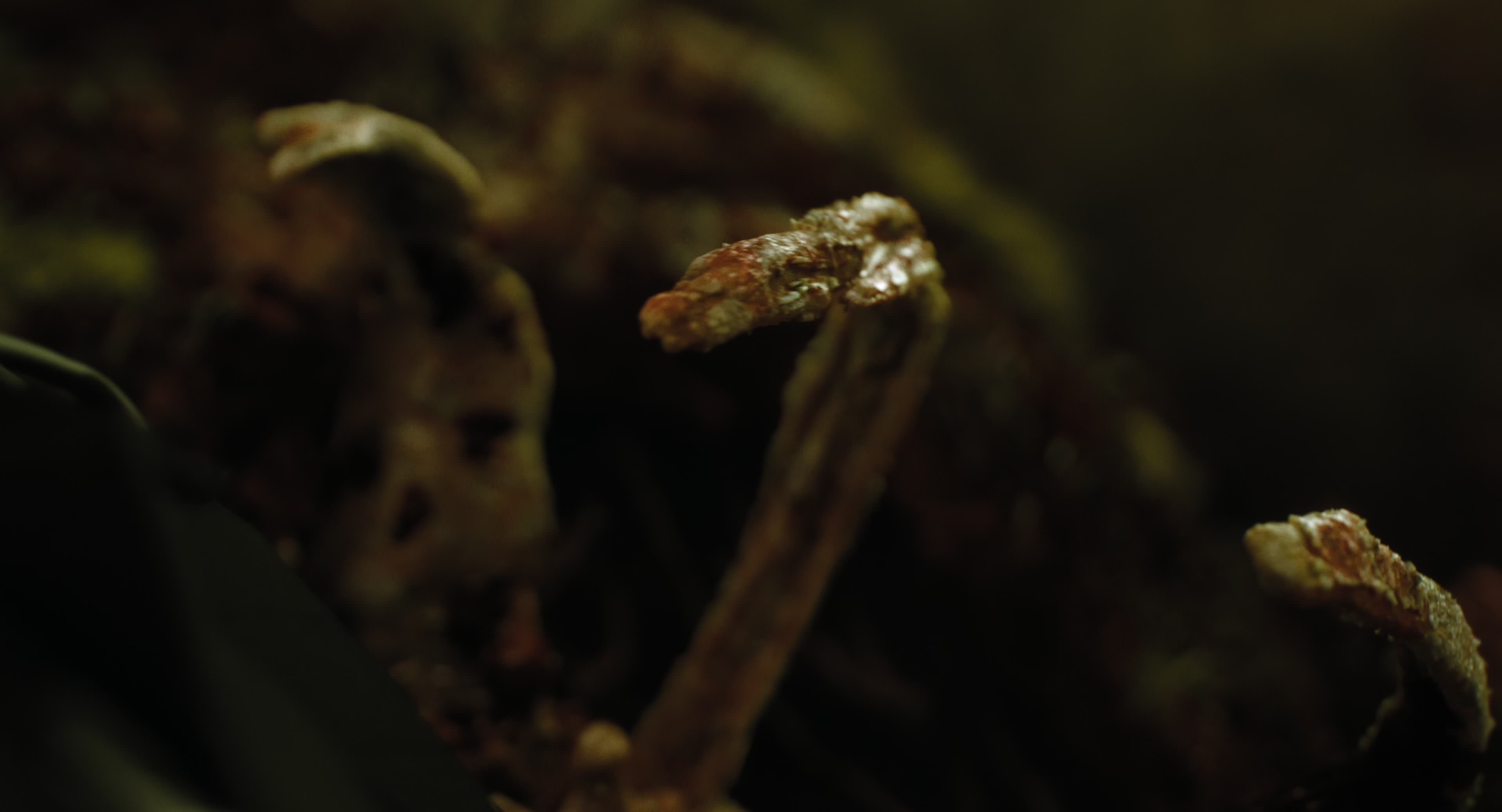 The Gorge (2025) [4K] movie still 8770