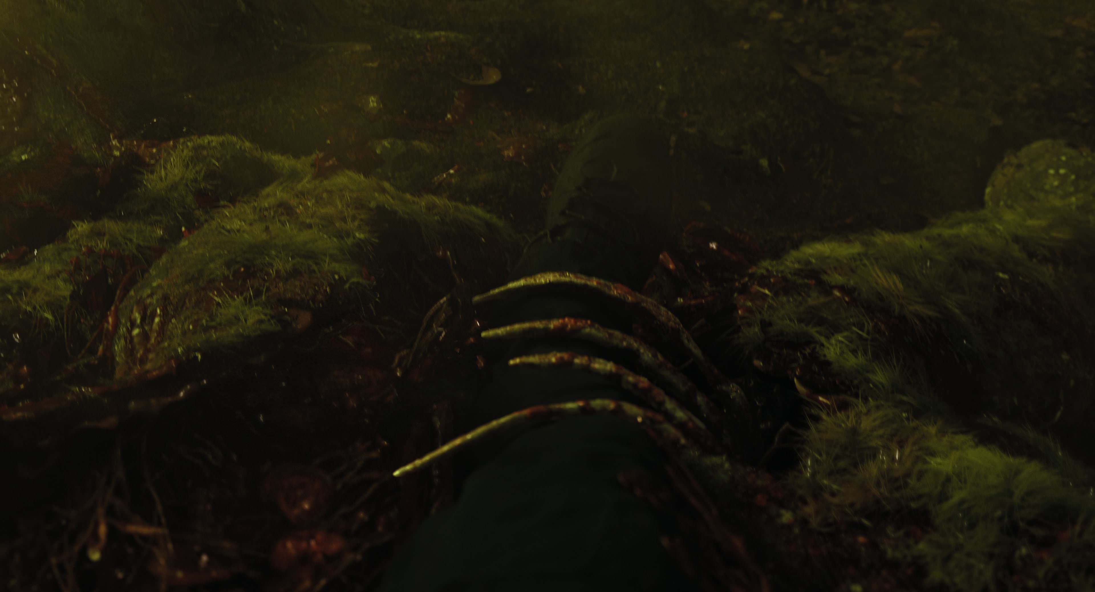 The Gorge (2025) [4K] movie still 8785
