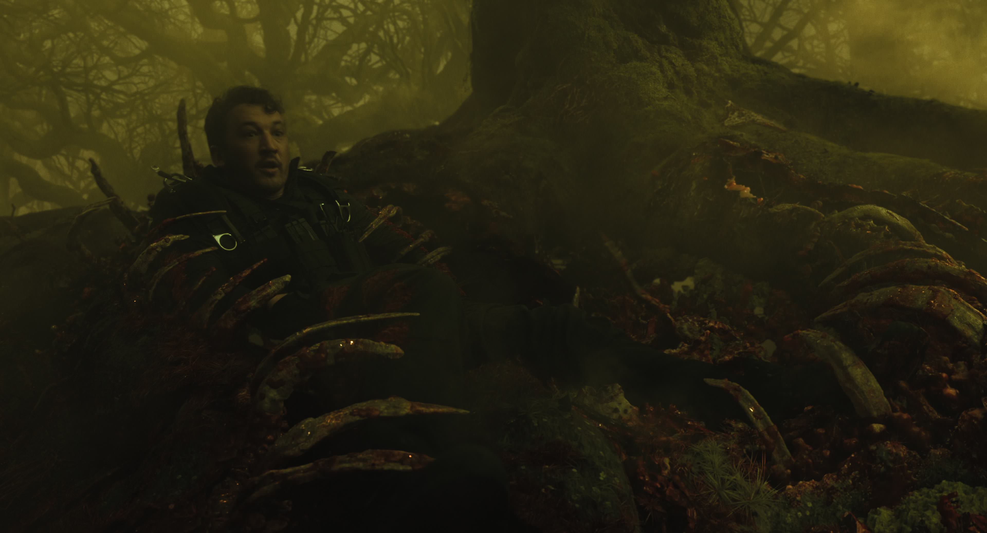 The Gorge (2025) [4K] HD screenshot 8810