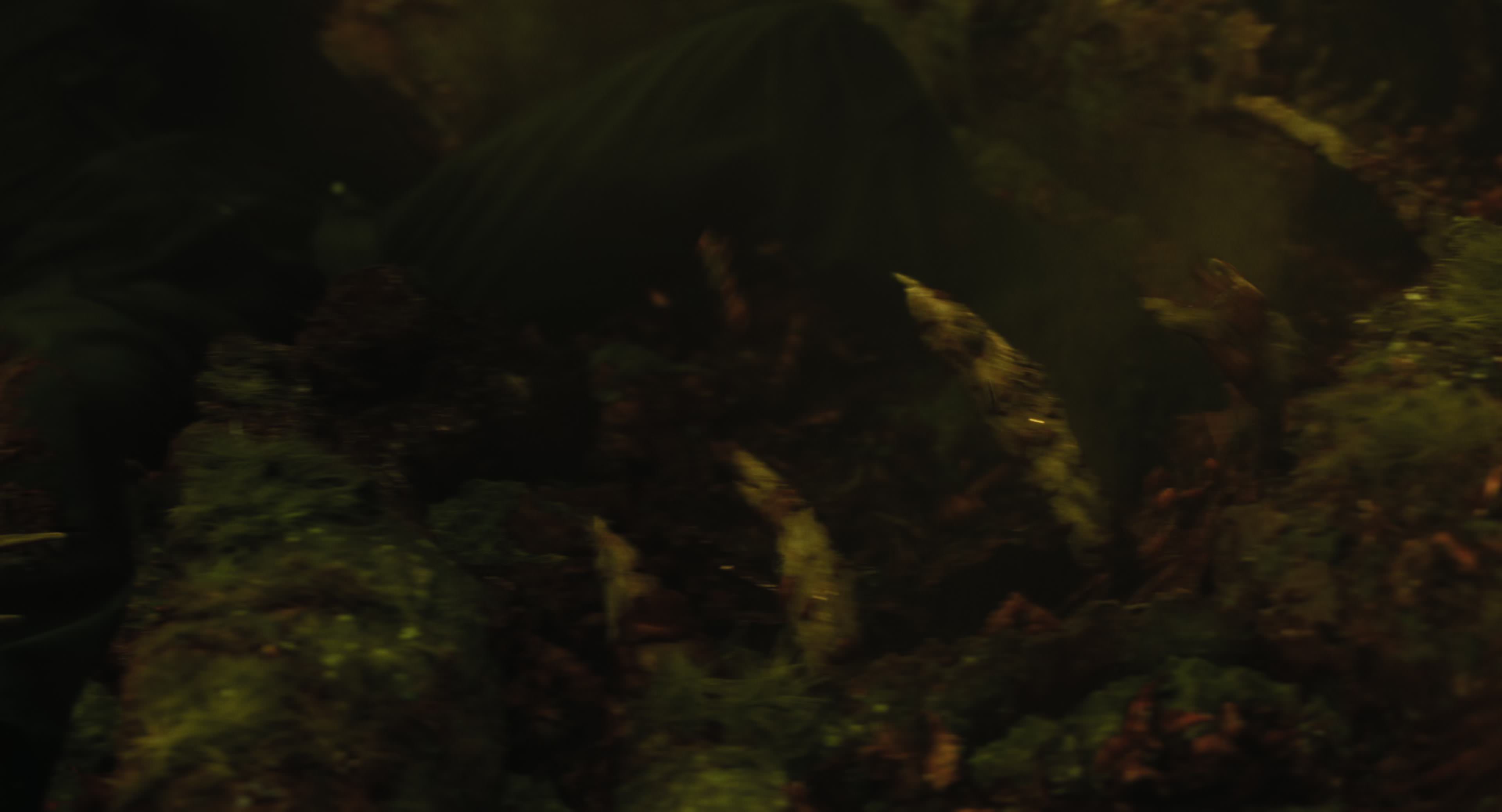 The Gorge (2025) [4K] HD screenshot 8816