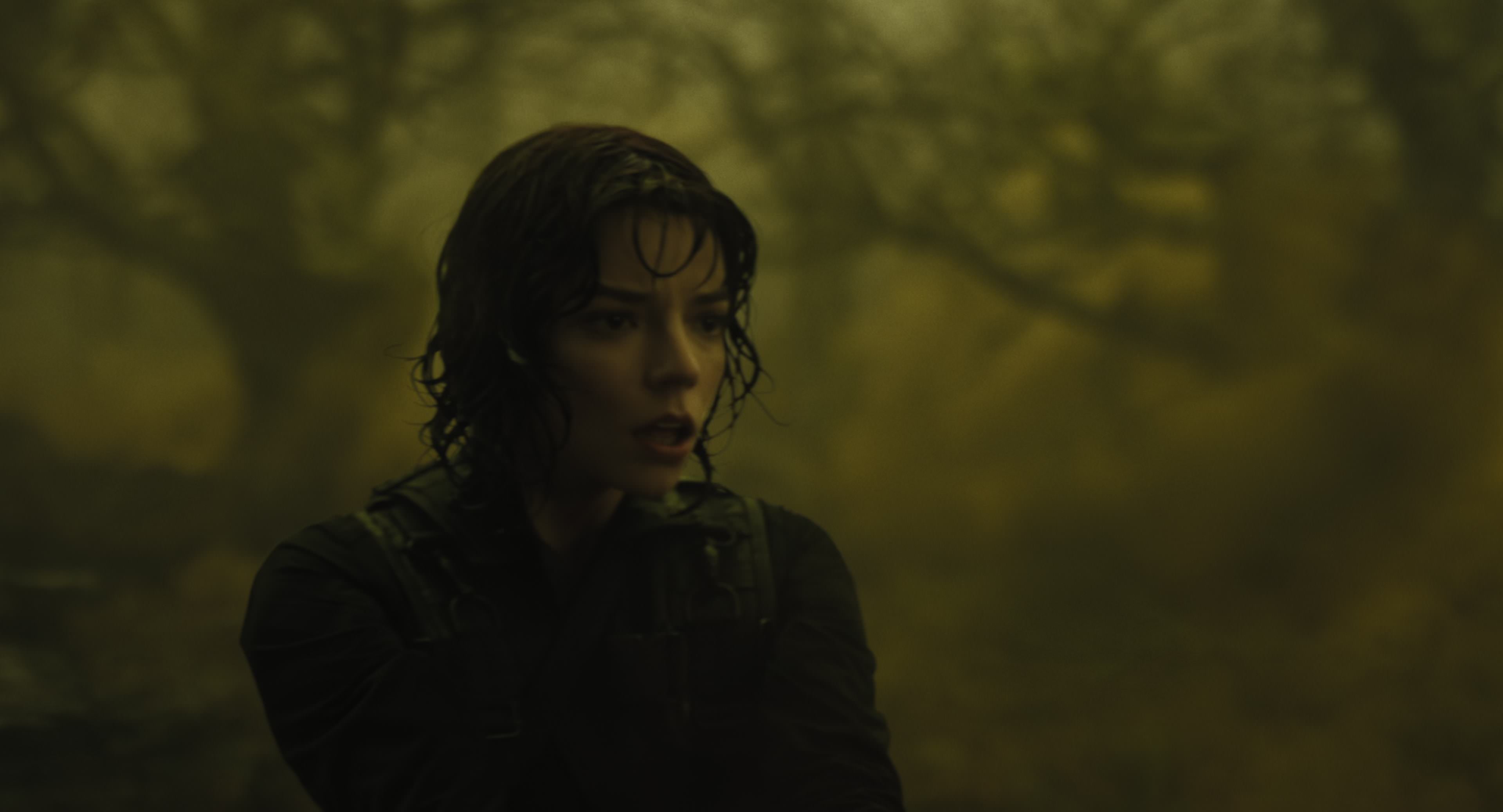 The Gorge (2025) [4K] HD screenshot 8825