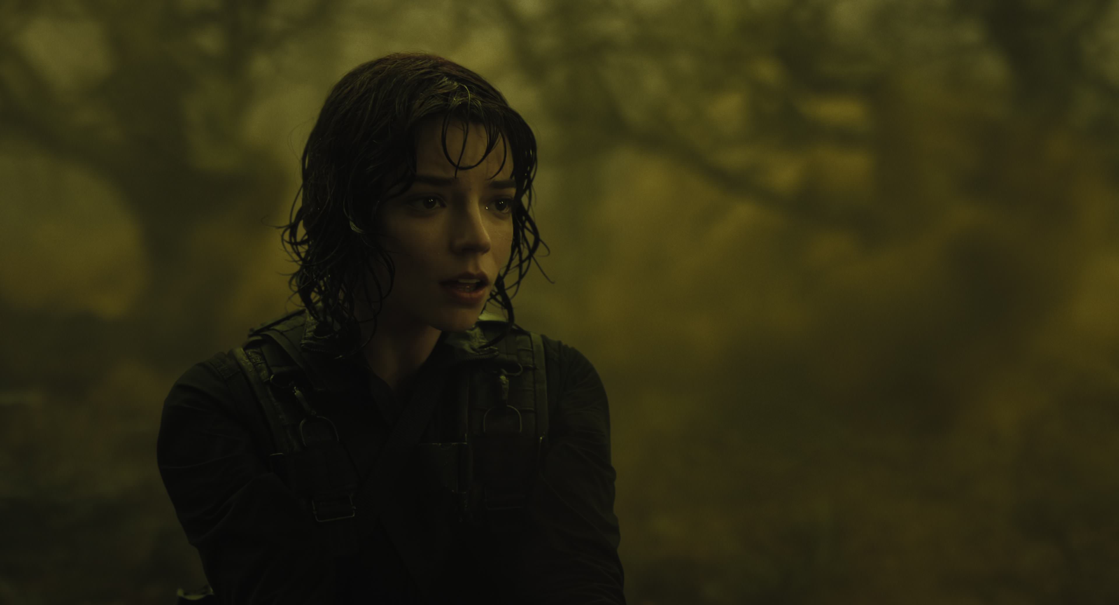 The Gorge (2025) [4K] HD screenshot 8828