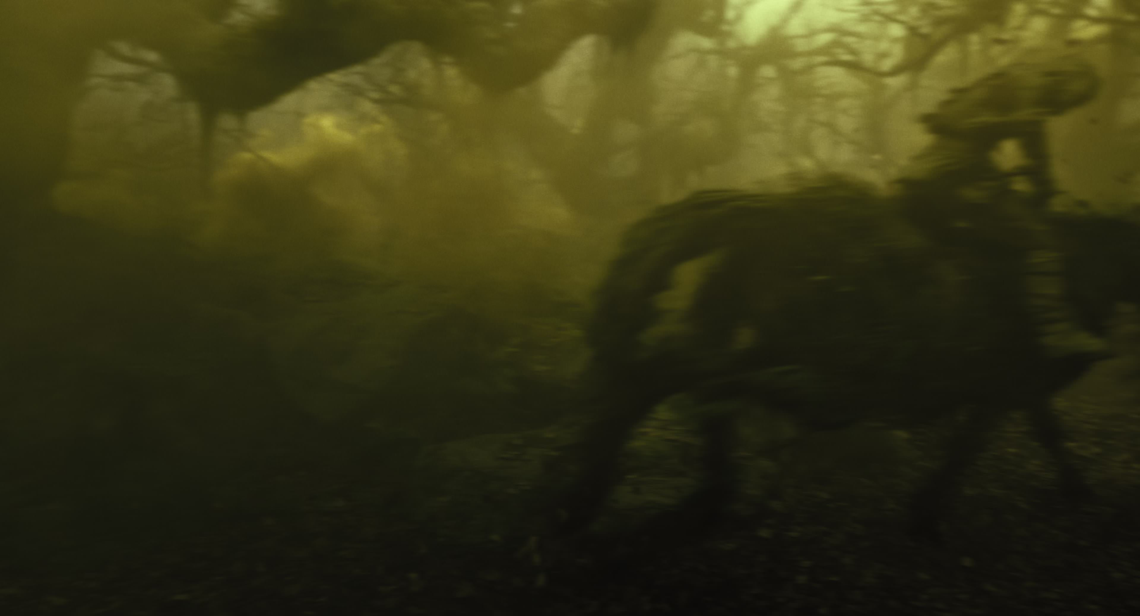 The Gorge (2025) [4K] HD screenshot 8924