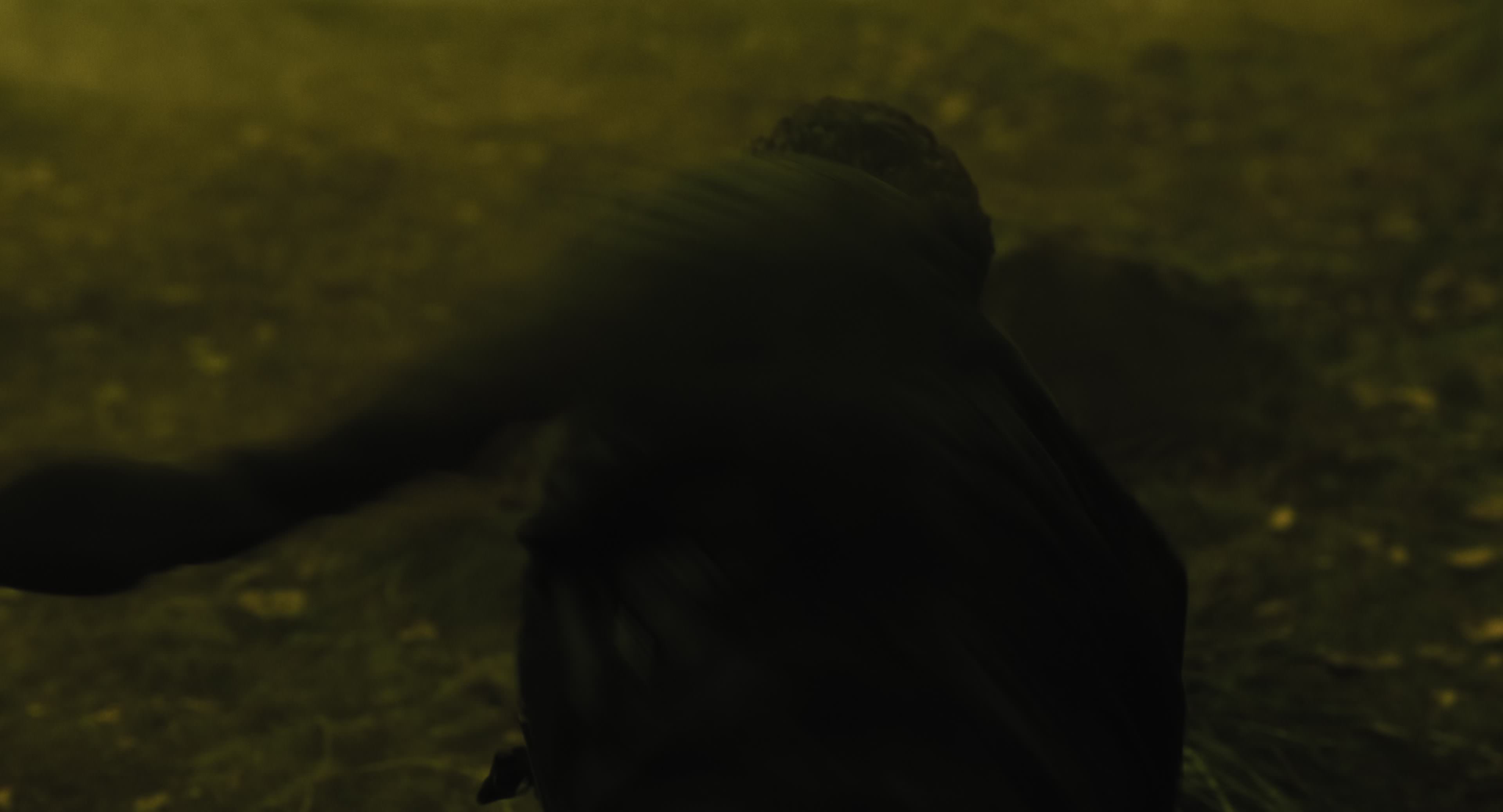 The Gorge (2025) [4K] HD screenshot 8945