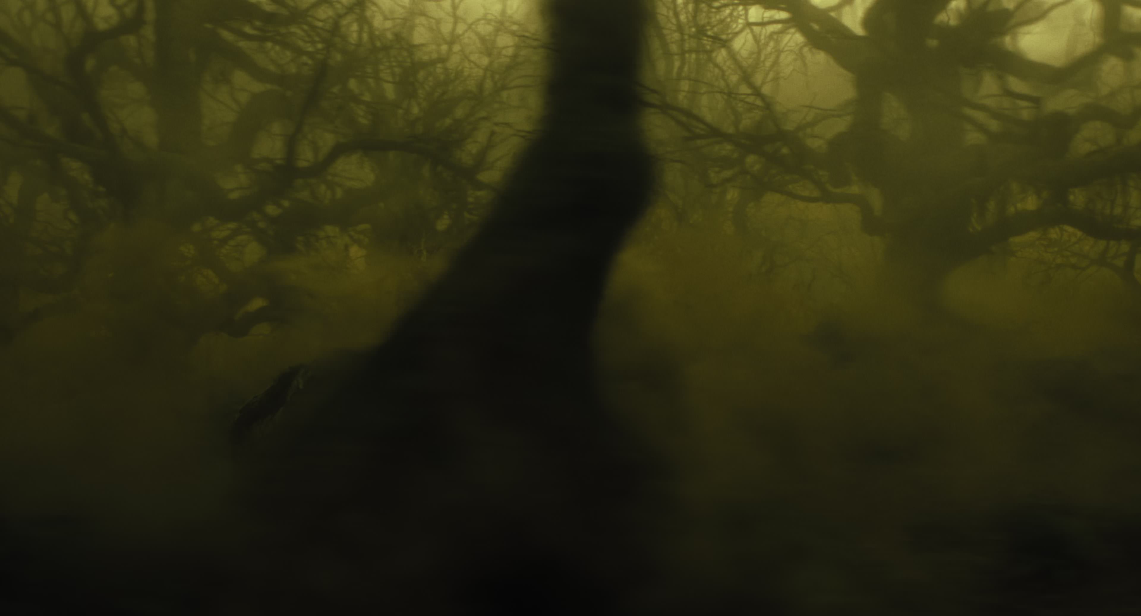 The Gorge (2025) [4K] HD screenshot 8966