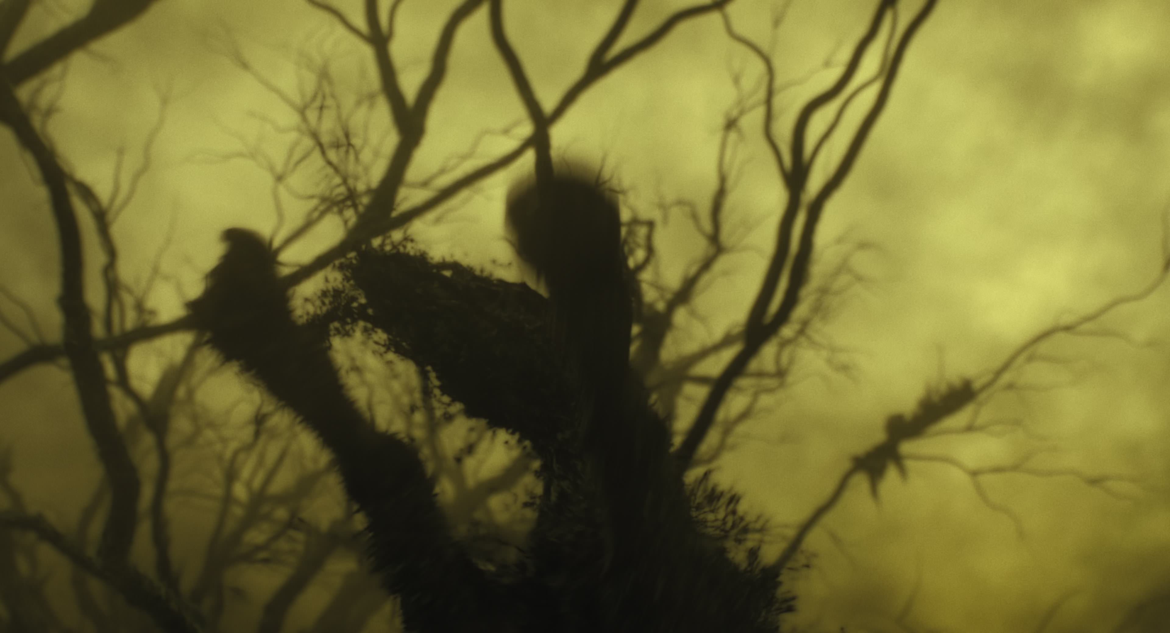 The Gorge (2025) [4K] HD screenshot 8981