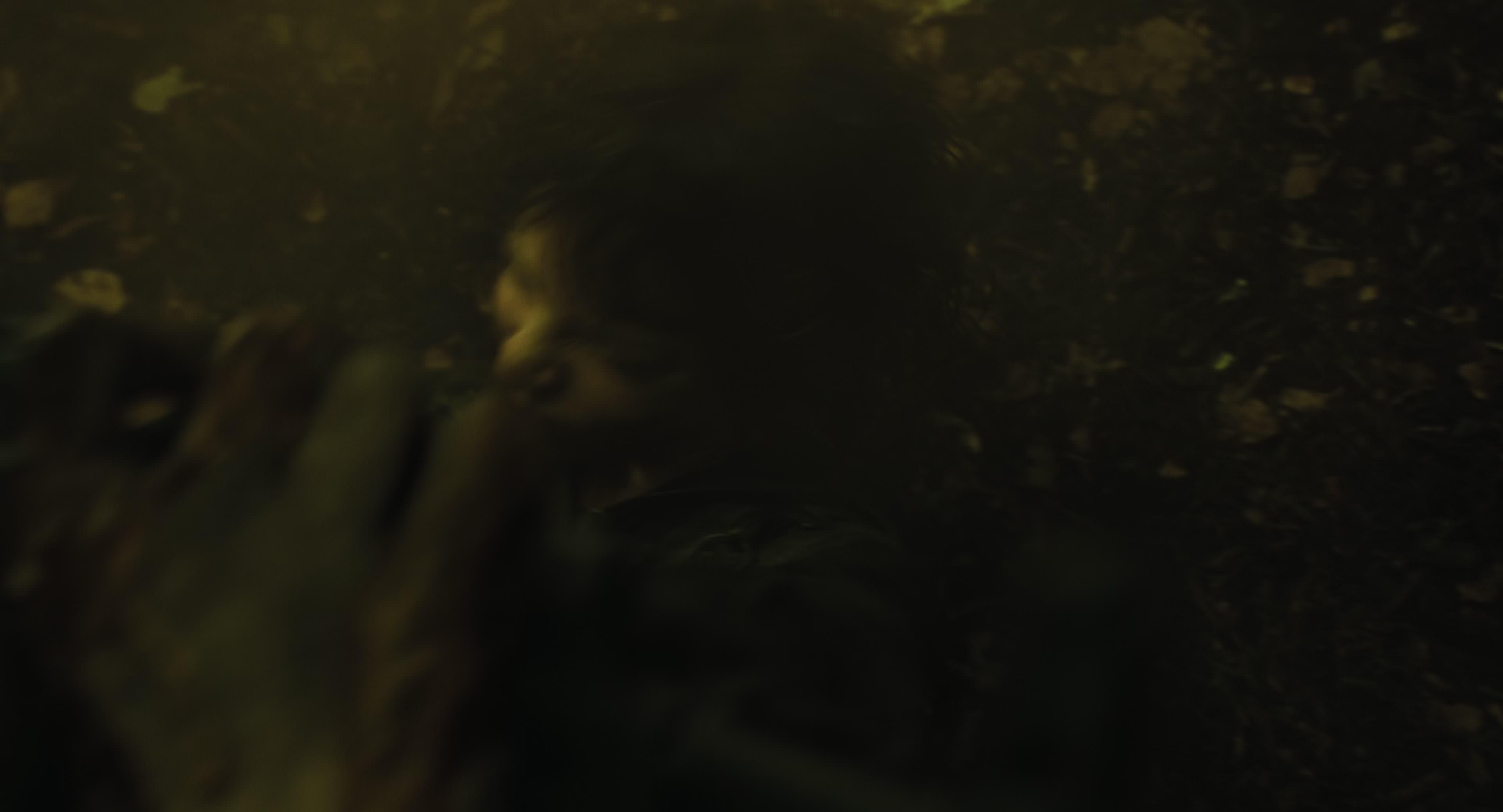 The Gorge (2025) [4K] screencap 8991