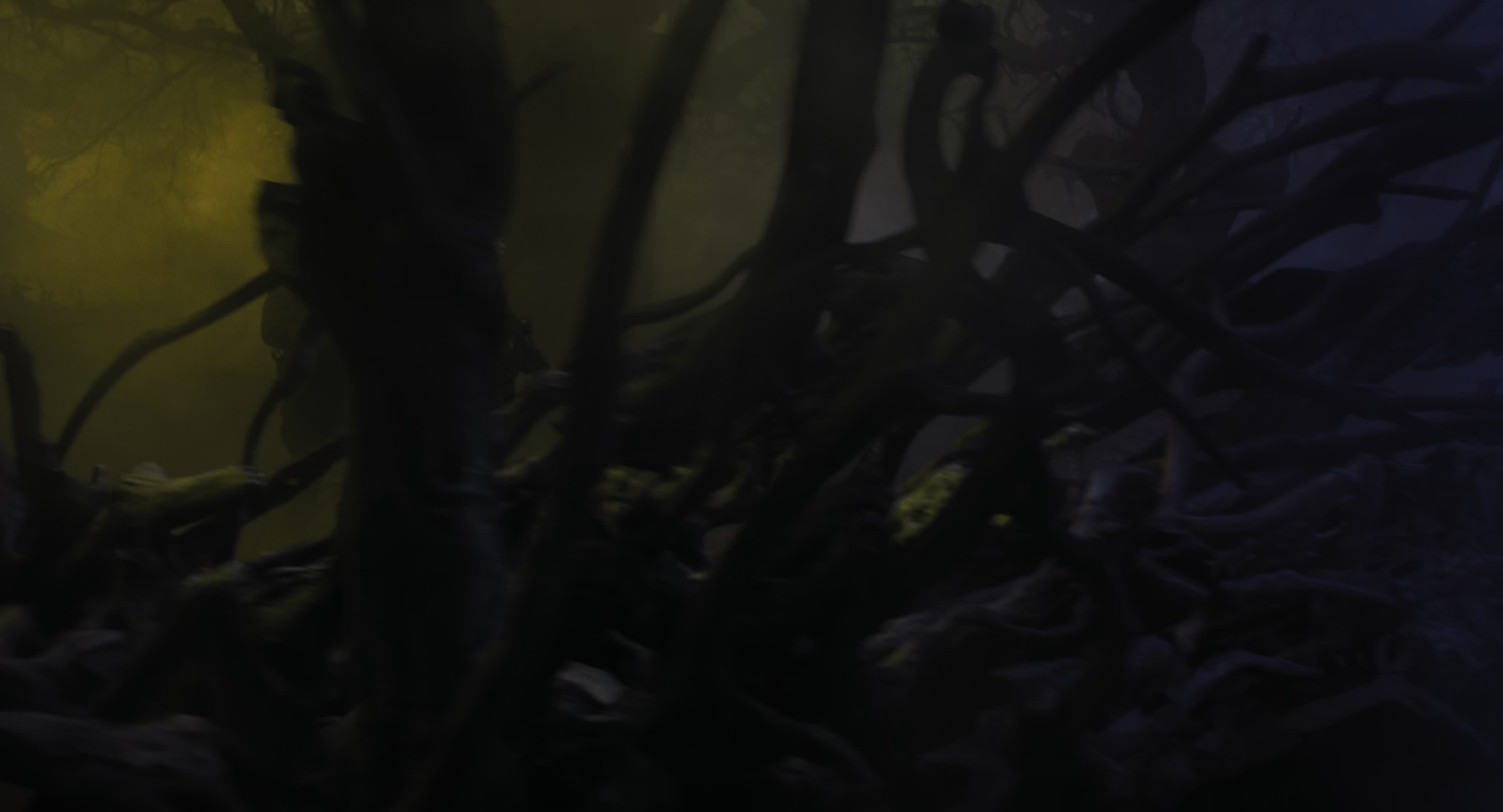 The Gorge (2025) [4K] screencap 9252