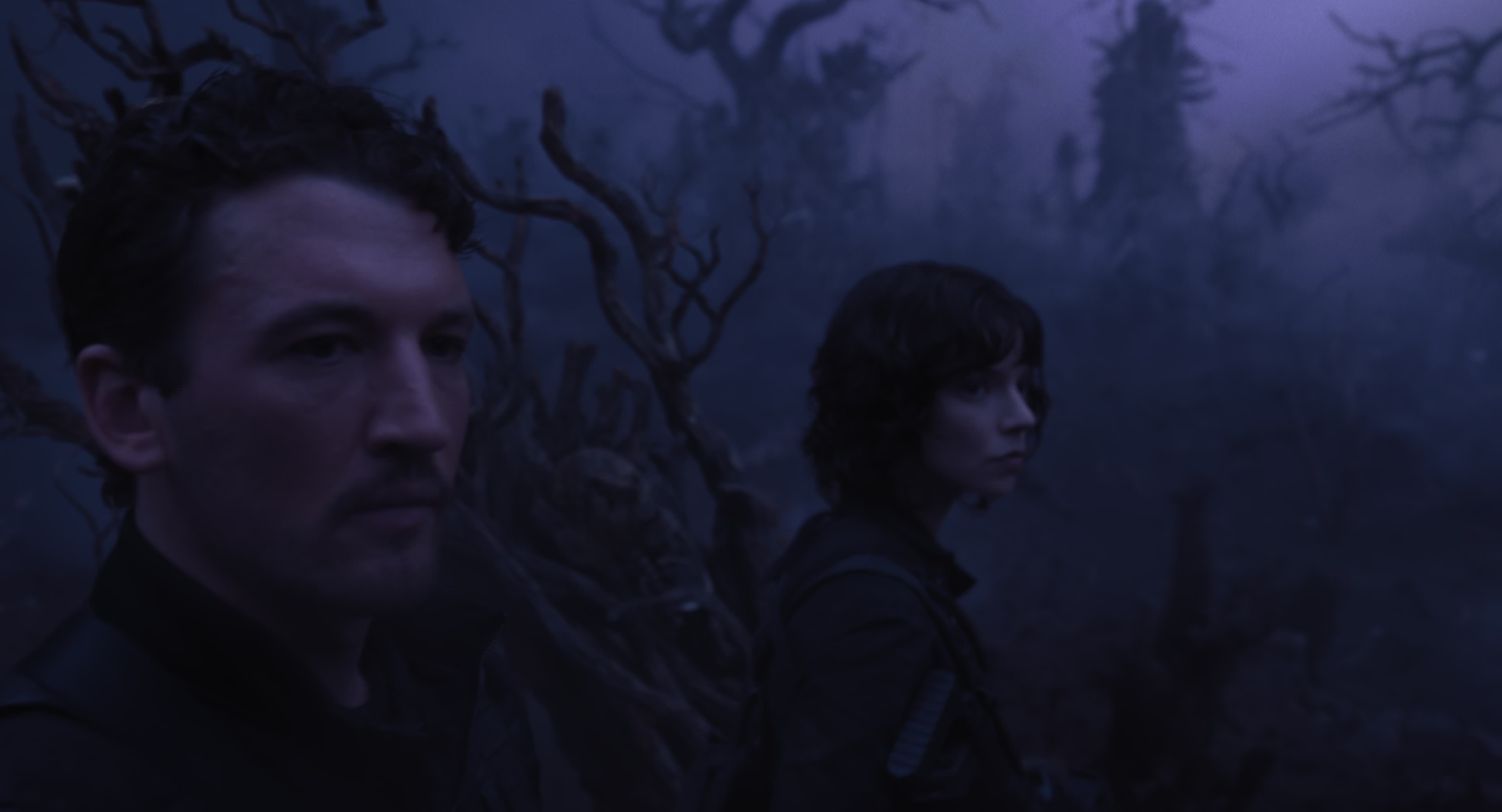 The Gorge (2025) [4K] HD screenshot 9323